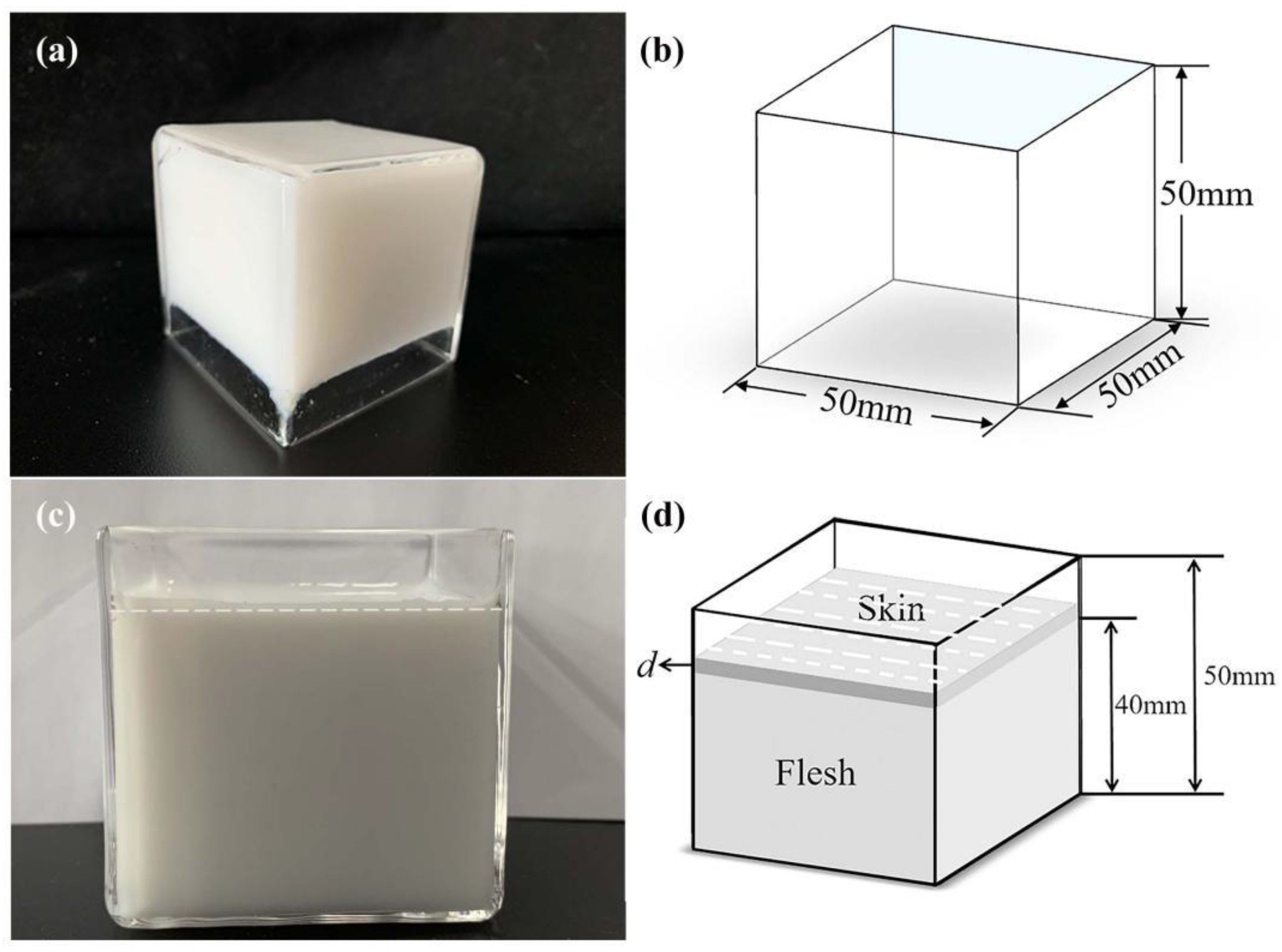 Photonics 10 00622 g002