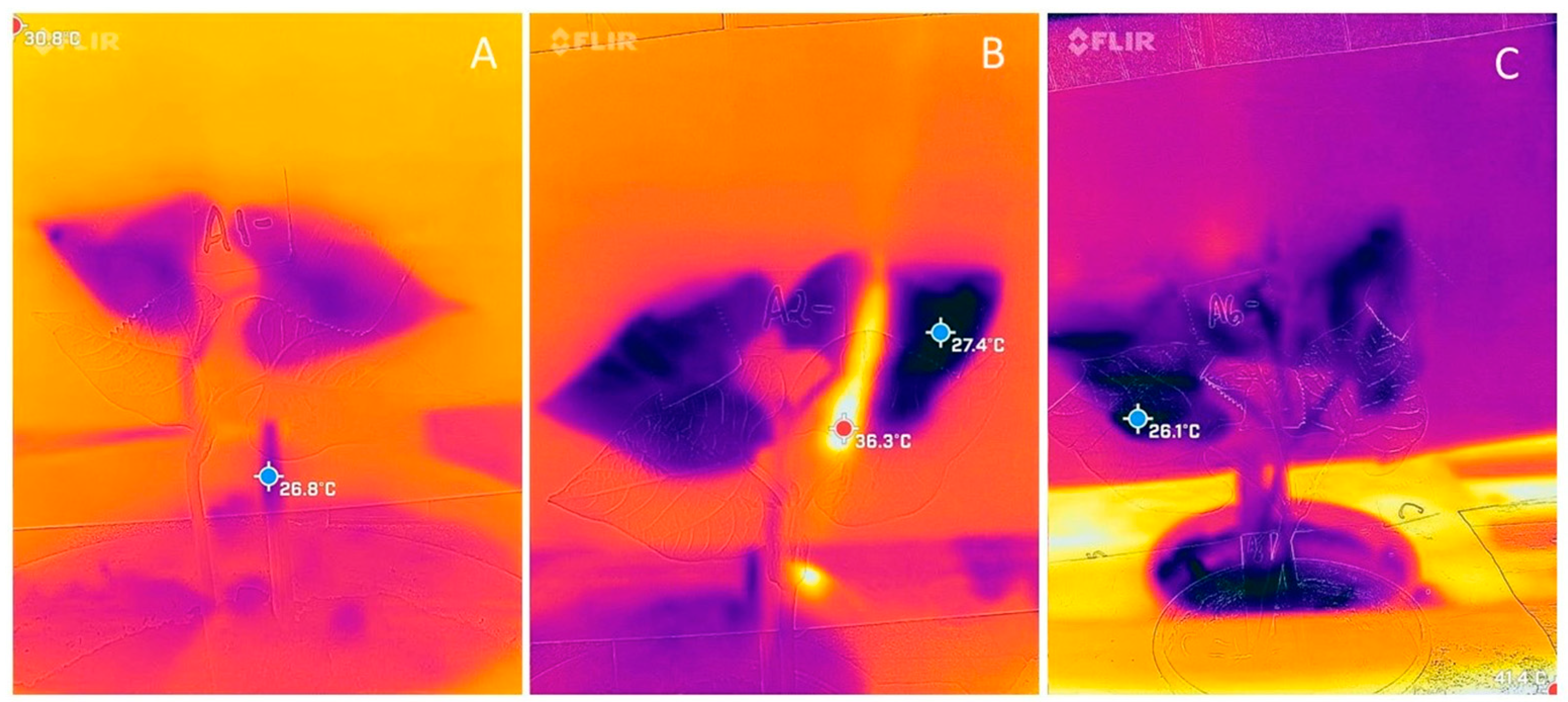 Photonics 10 00636 g004 Photonics 10 00636 g004