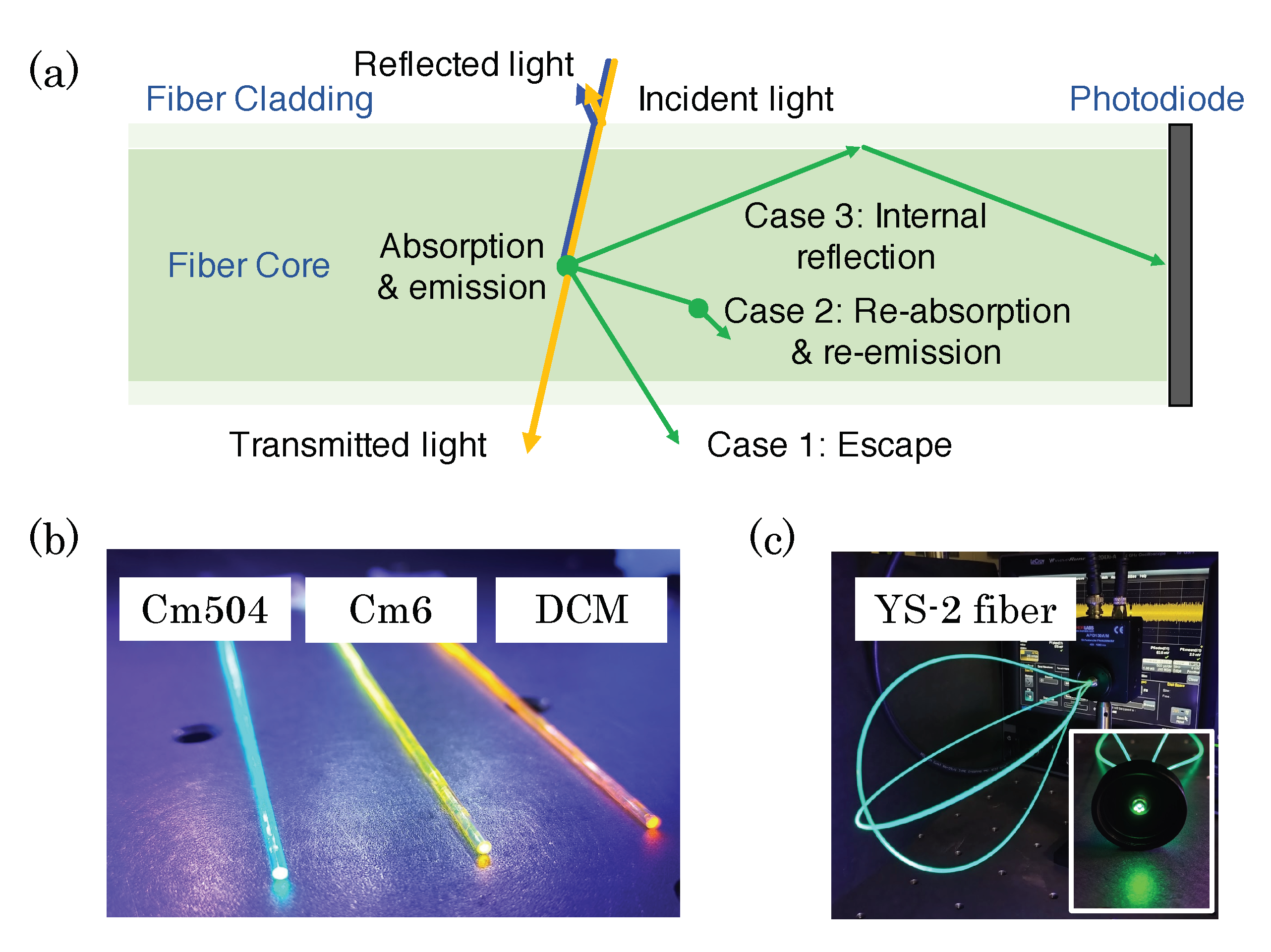 Photonics 10 00648 g008