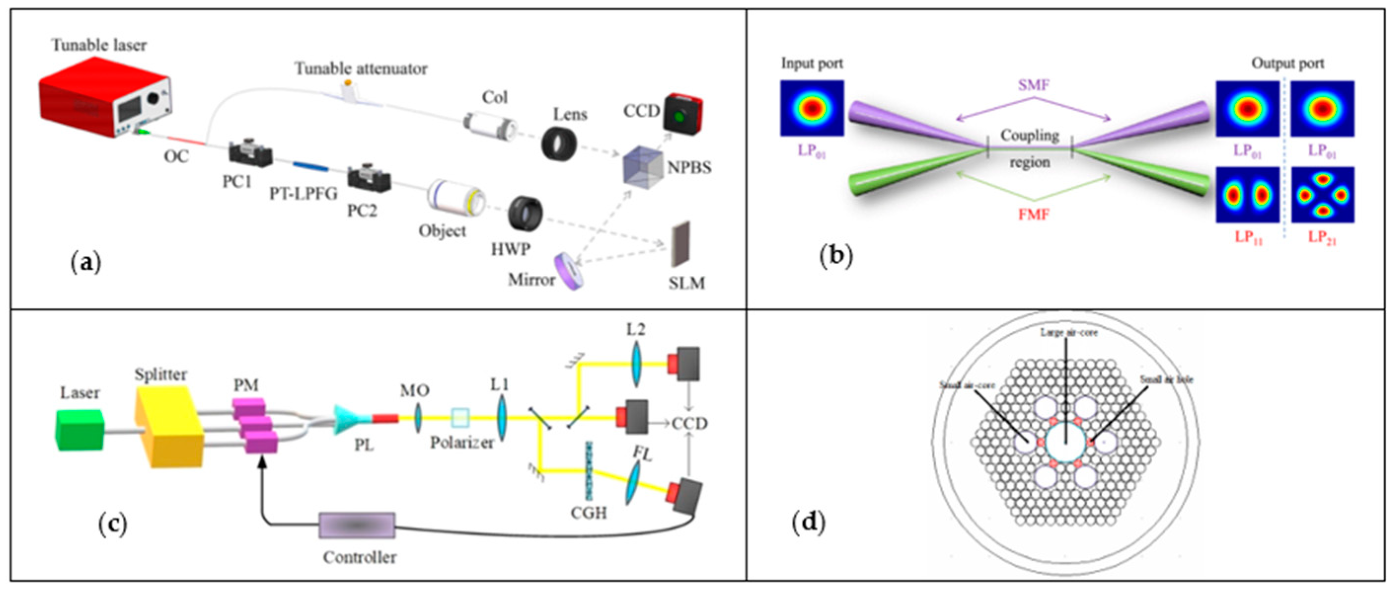 Photonics 10 00664 g006