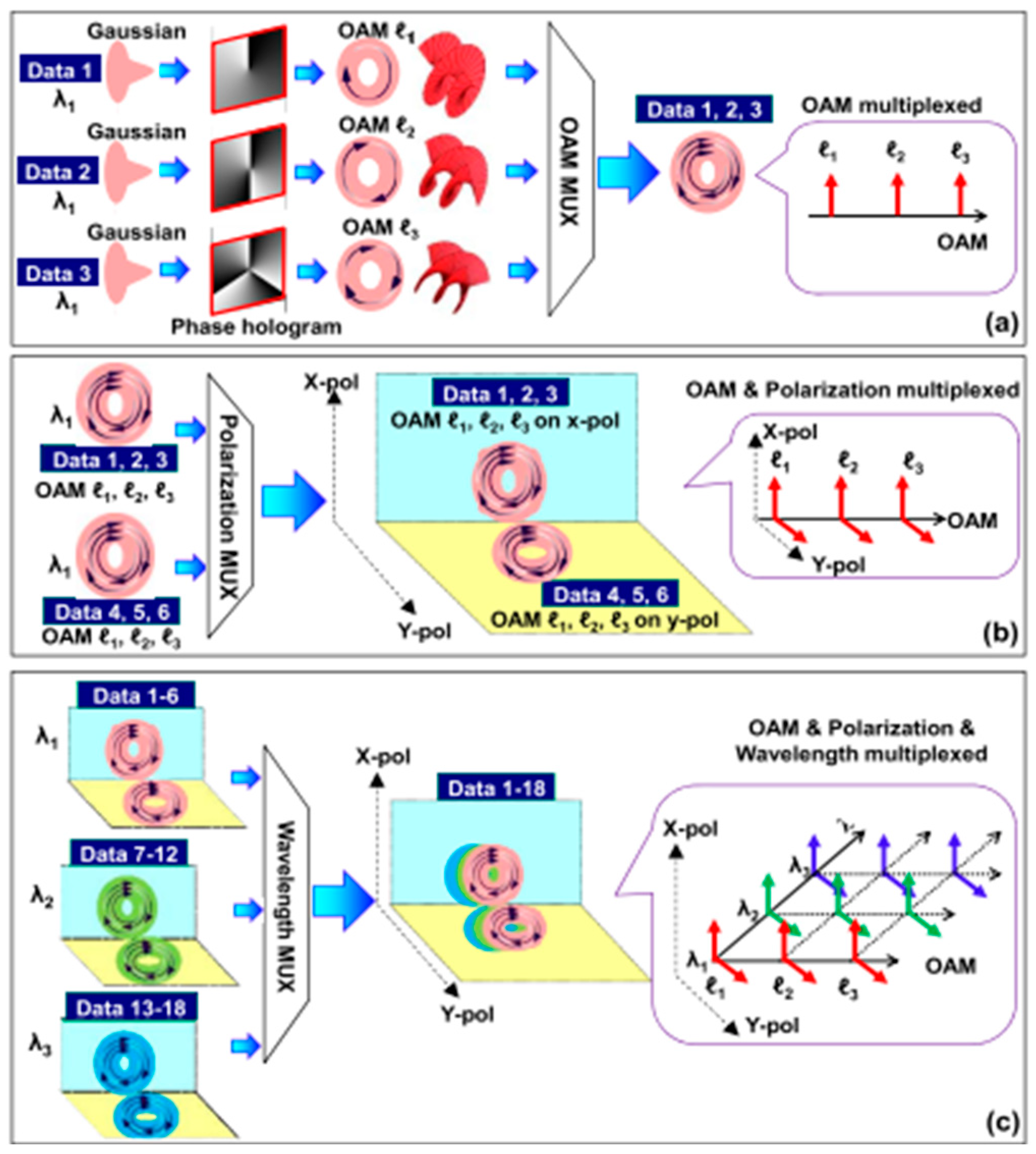Photonics 10 00664 g008