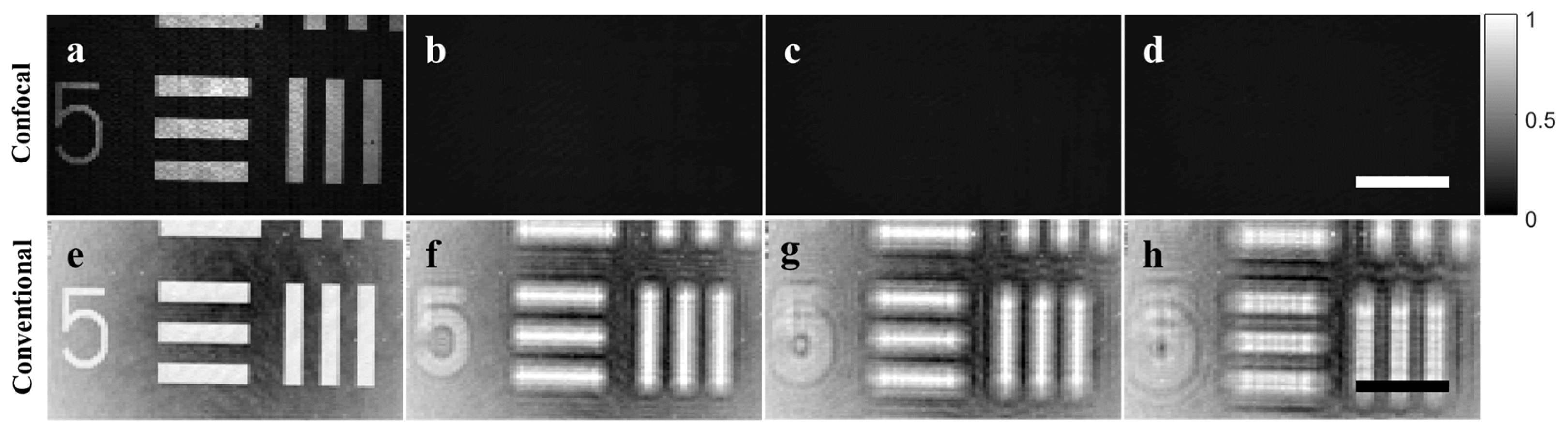 Photonics 10 00687 g003