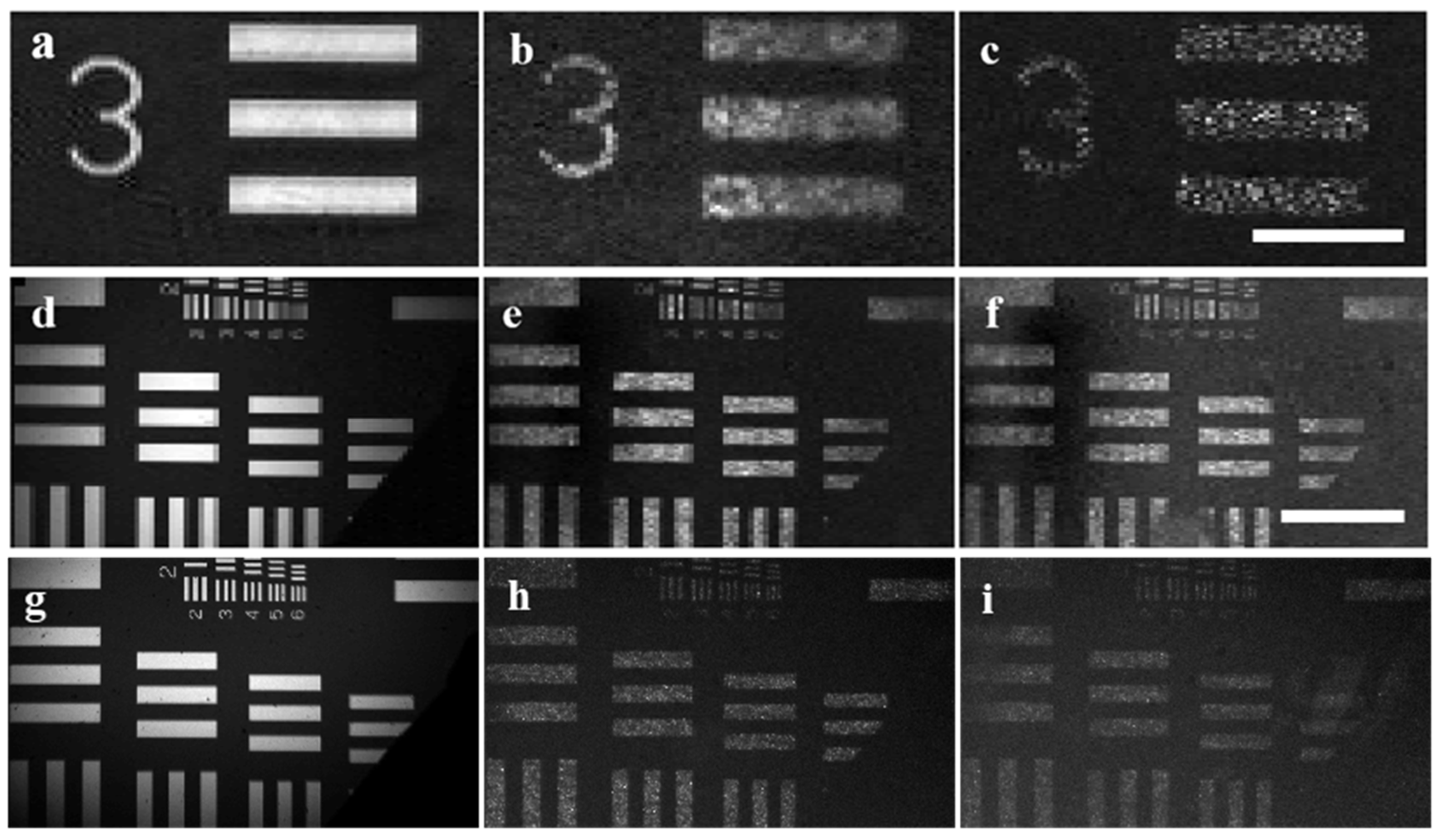 Photonics 10 00687 g005