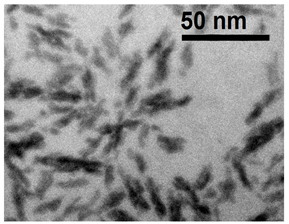 Photonics 10 00705 i011
