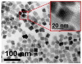 Photonics 10 00705 i015