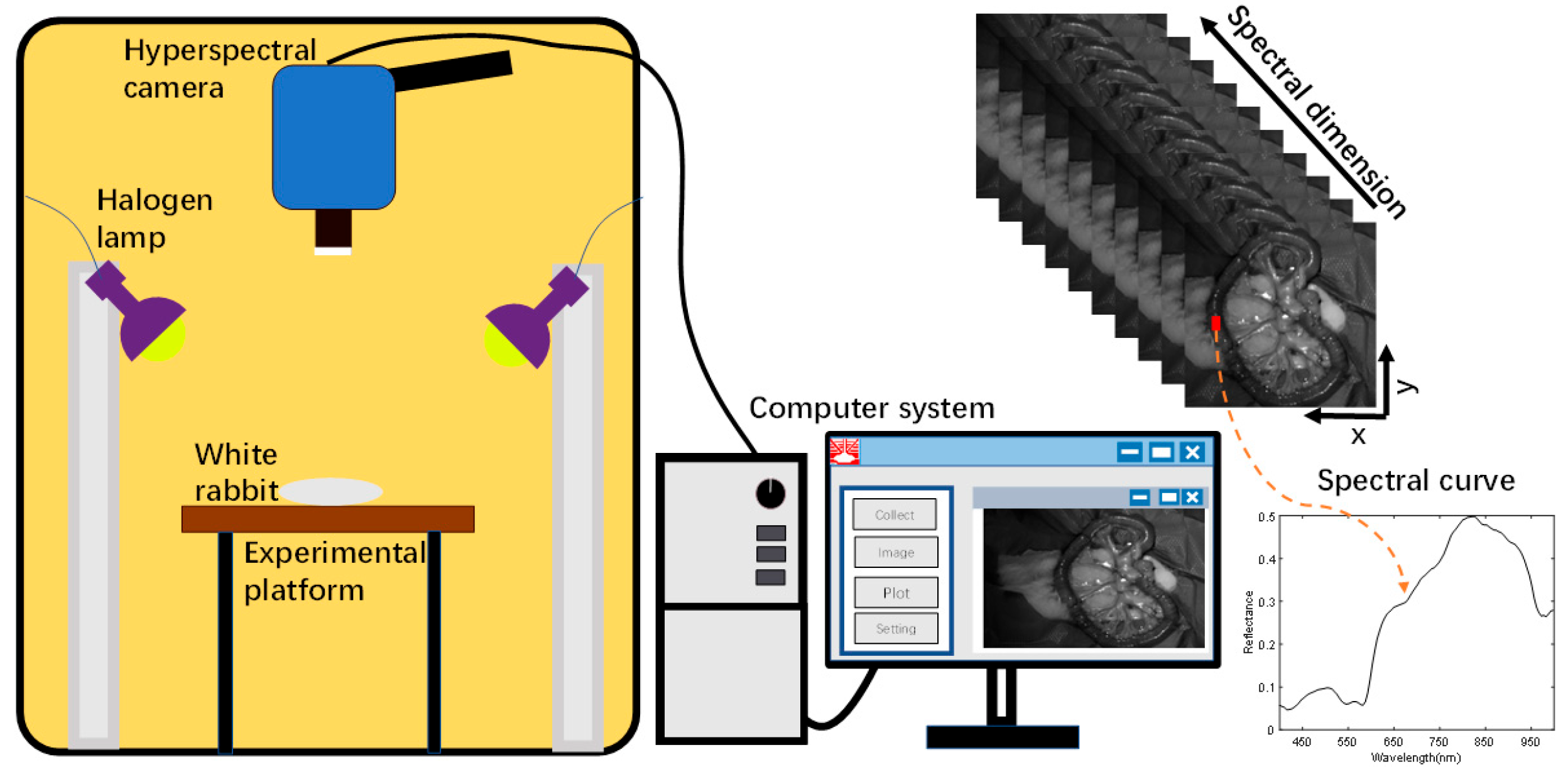 Photonics 10 00708 g003