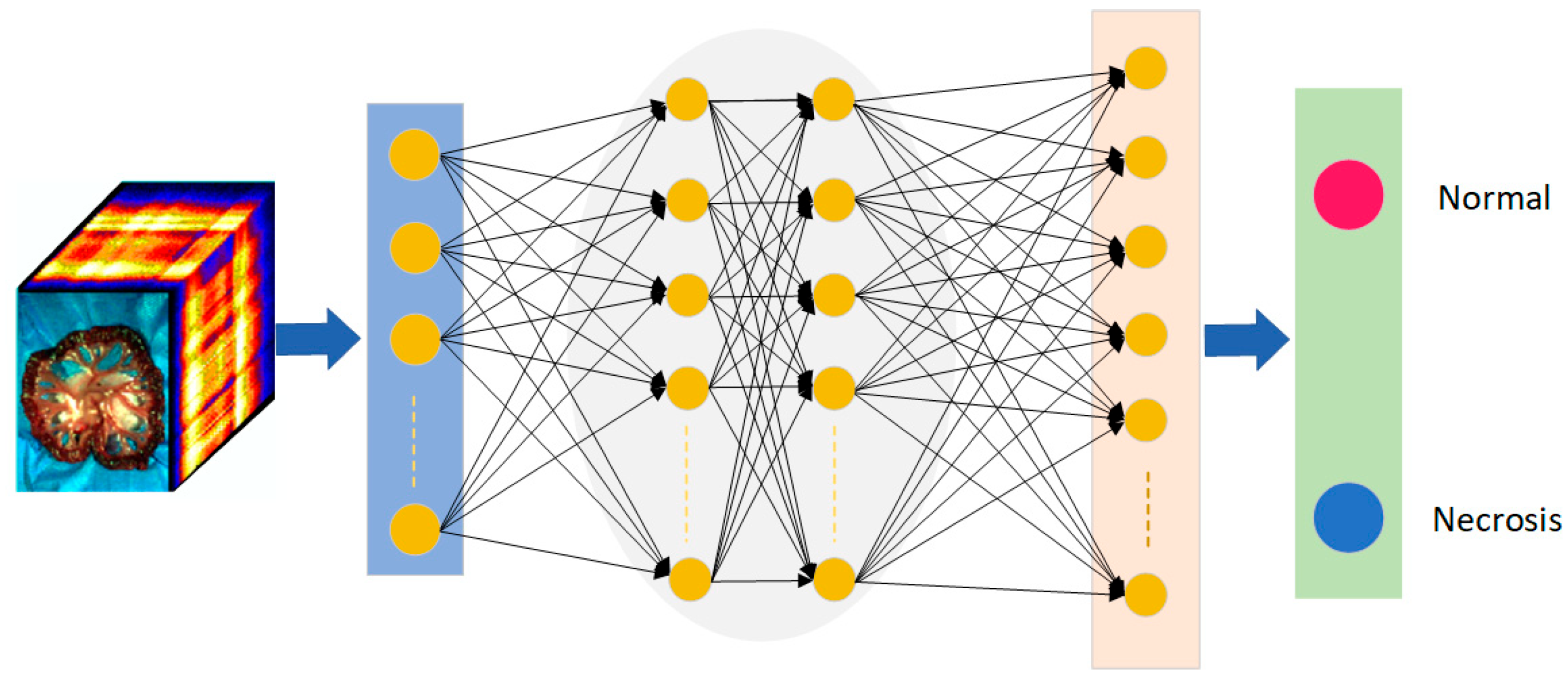 Photonics 10 00708 g004