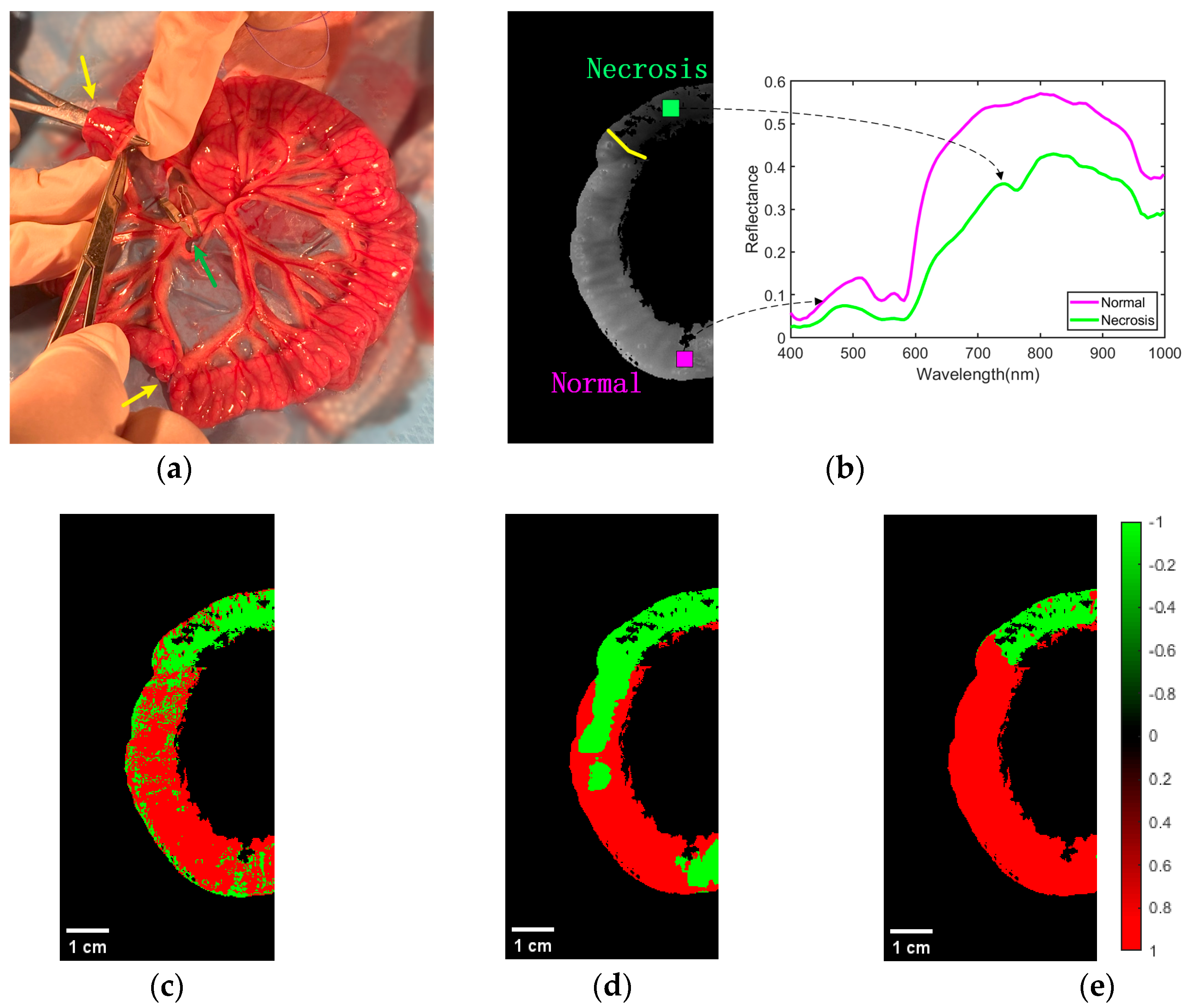 Photonics 10 00708 g008