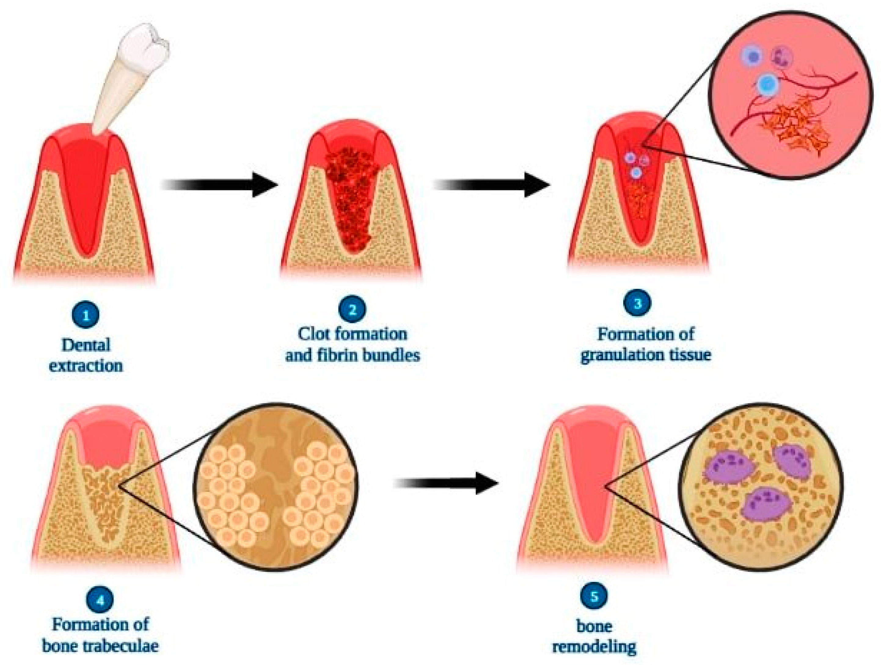 Photonics 10 00734 g004