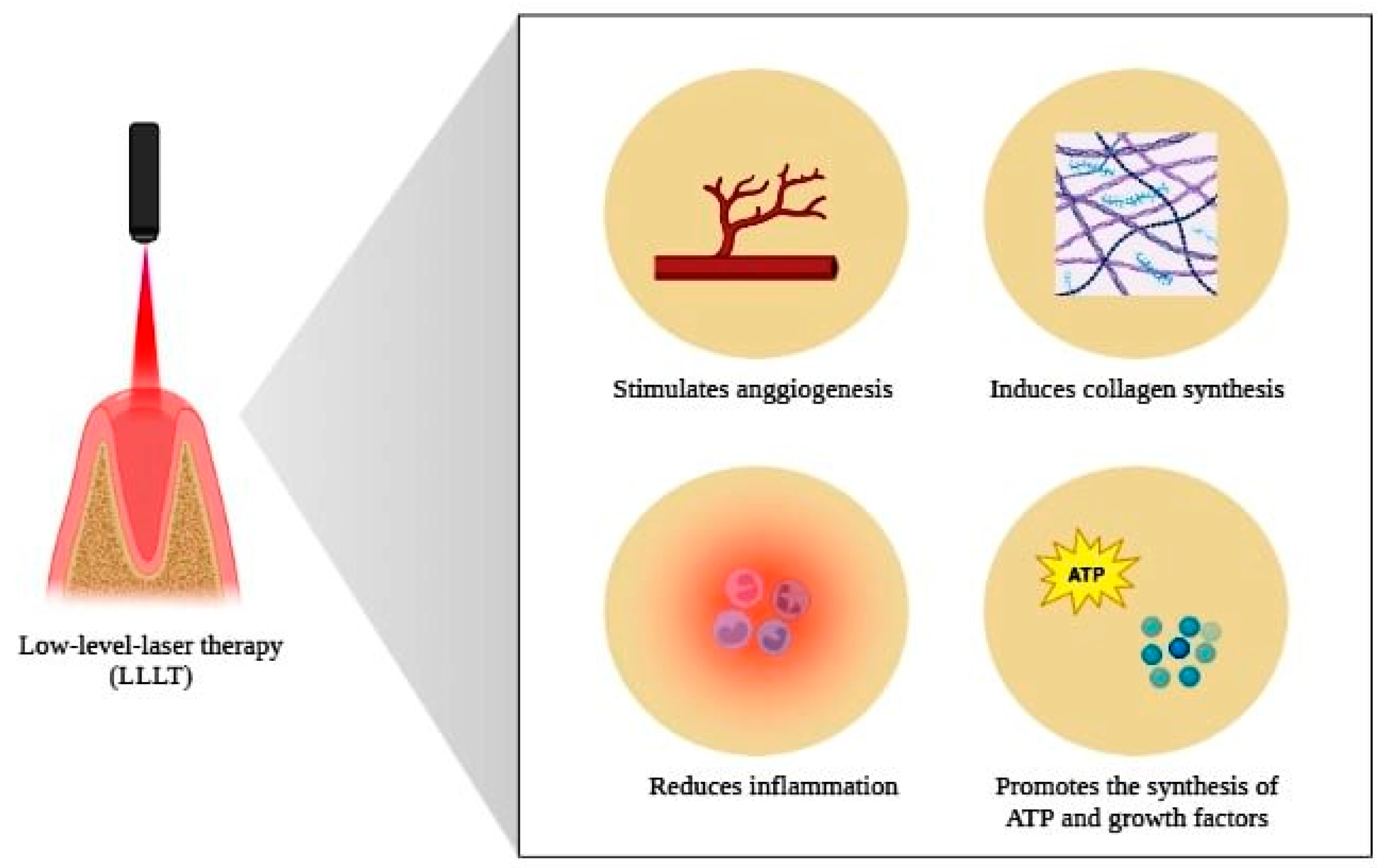 Photonics 10 00734 g005