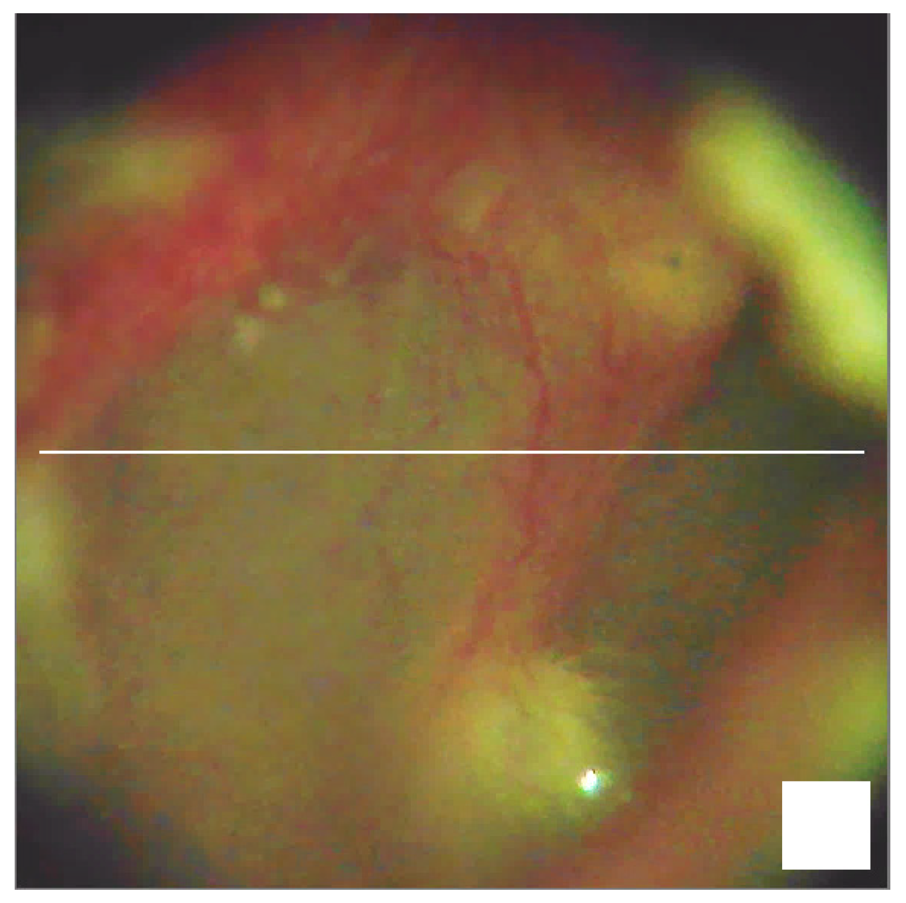 Photonics 10 00736 g003