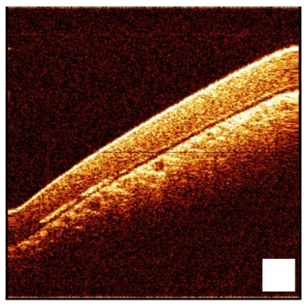 Photonics 10 00736 g007