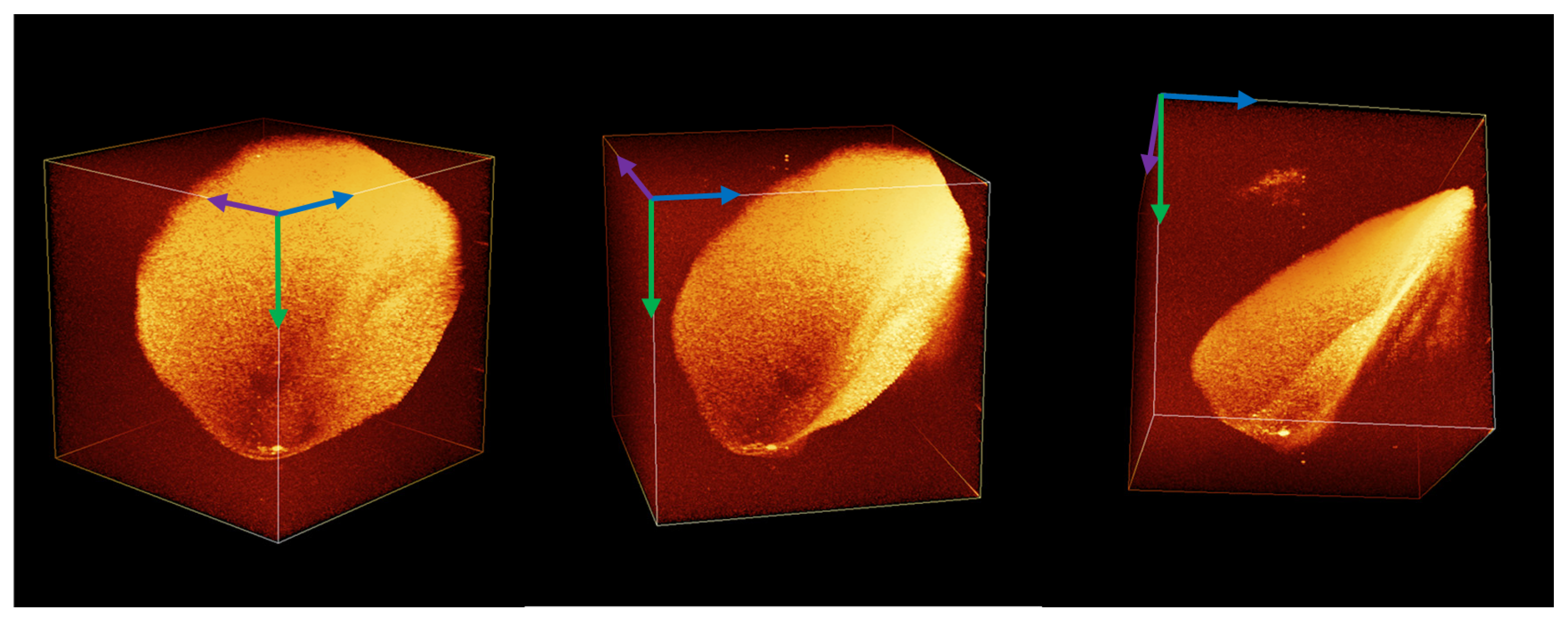 Photonics 10 00736 g010