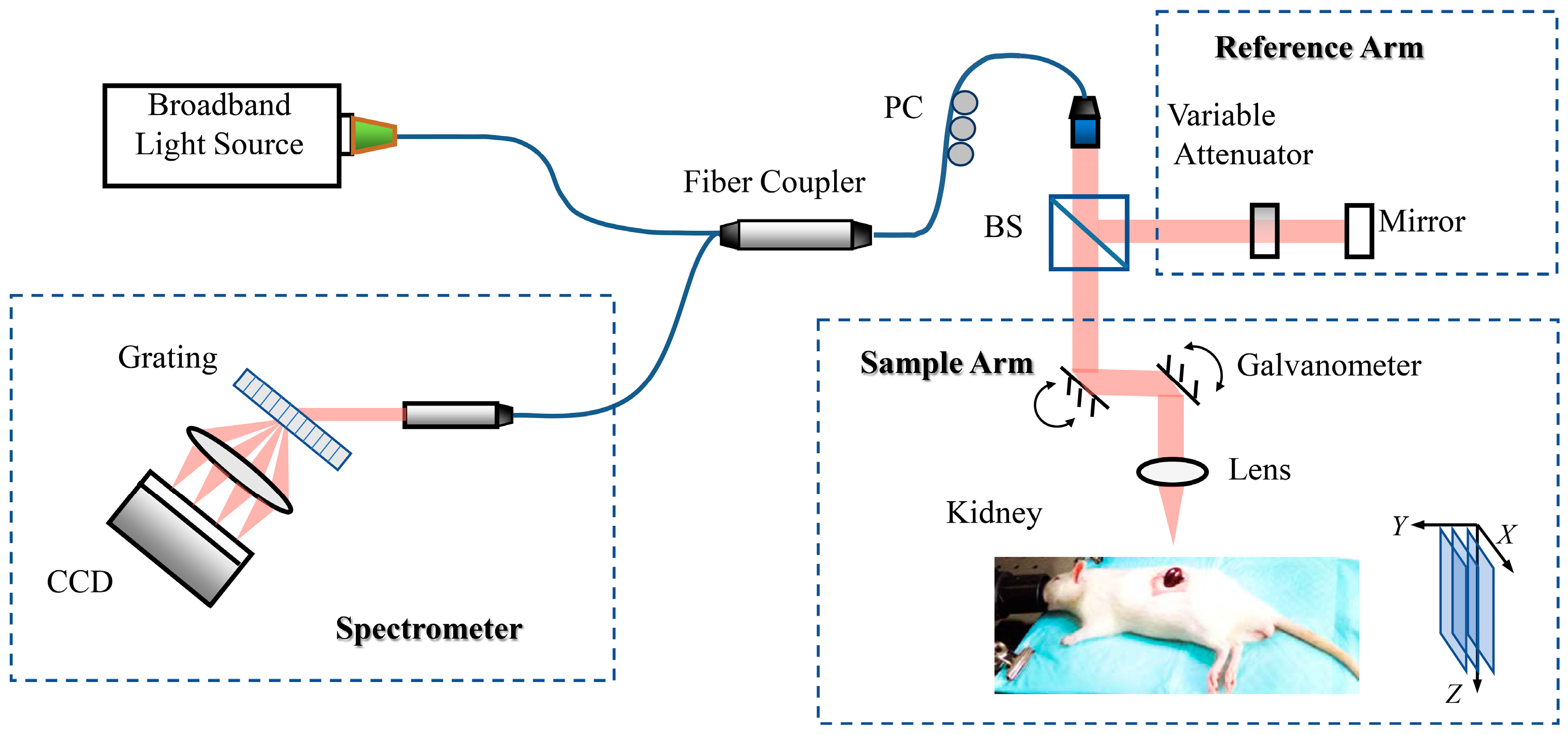 Photonics 10 00741 g001