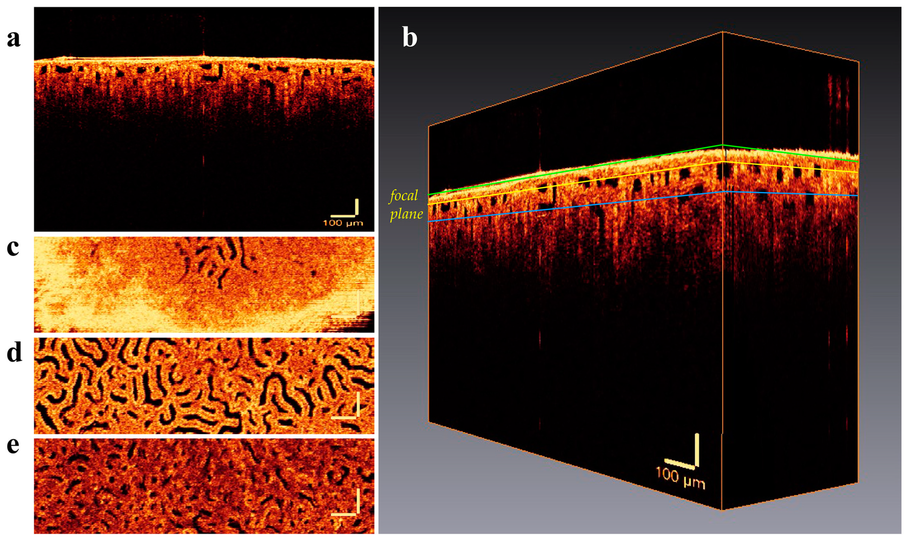Photonics 10 00741 g002