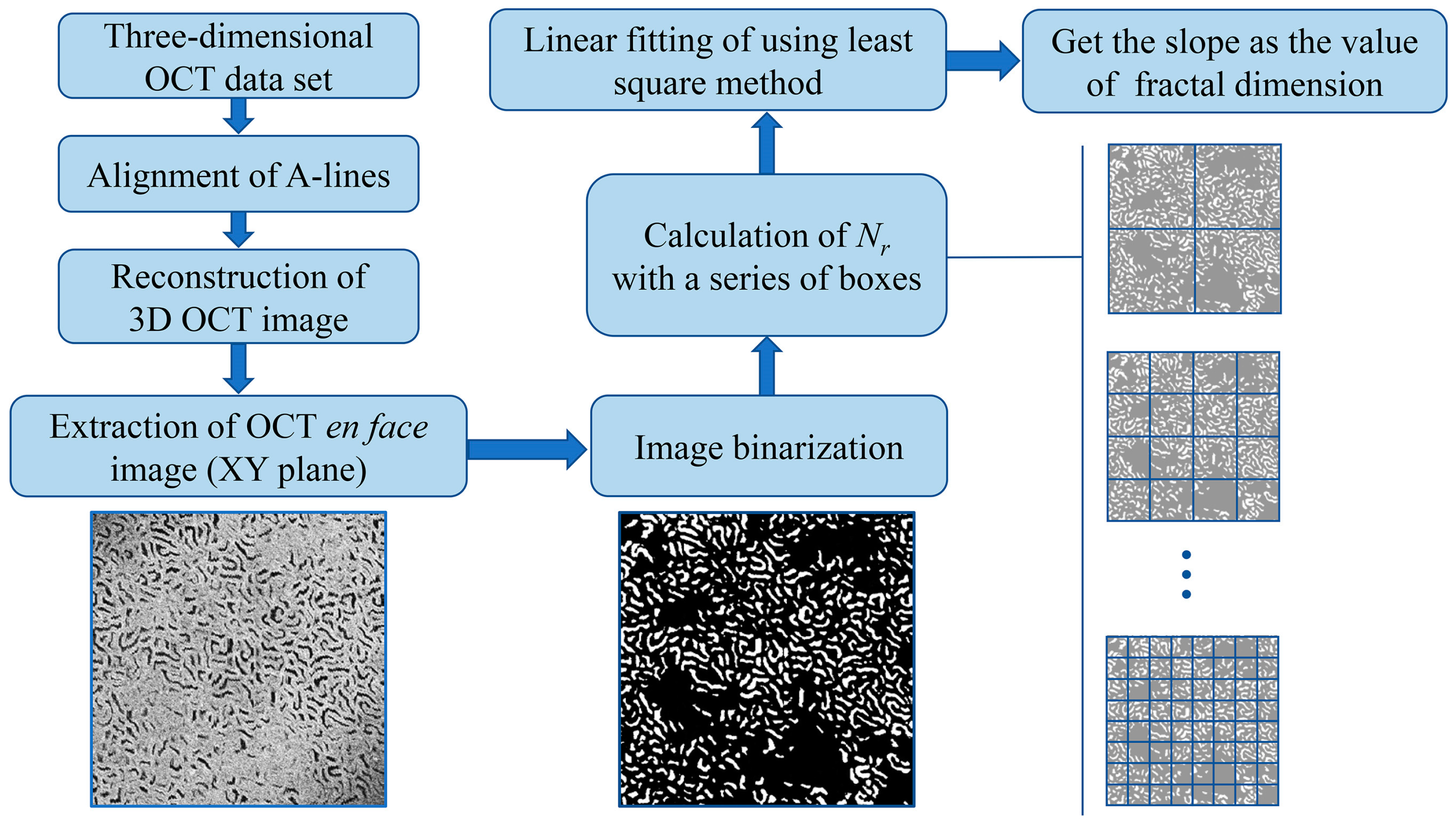 Photonics 10 00741 g003