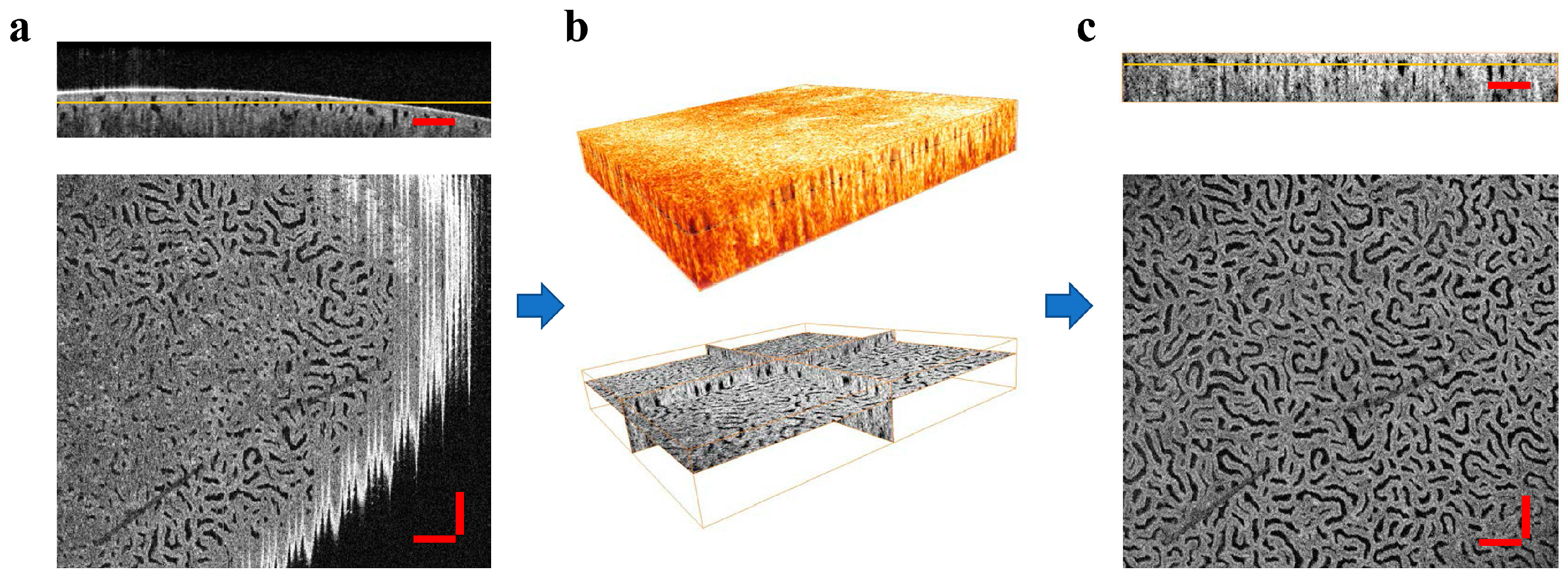 Photonics 10 00741 g004