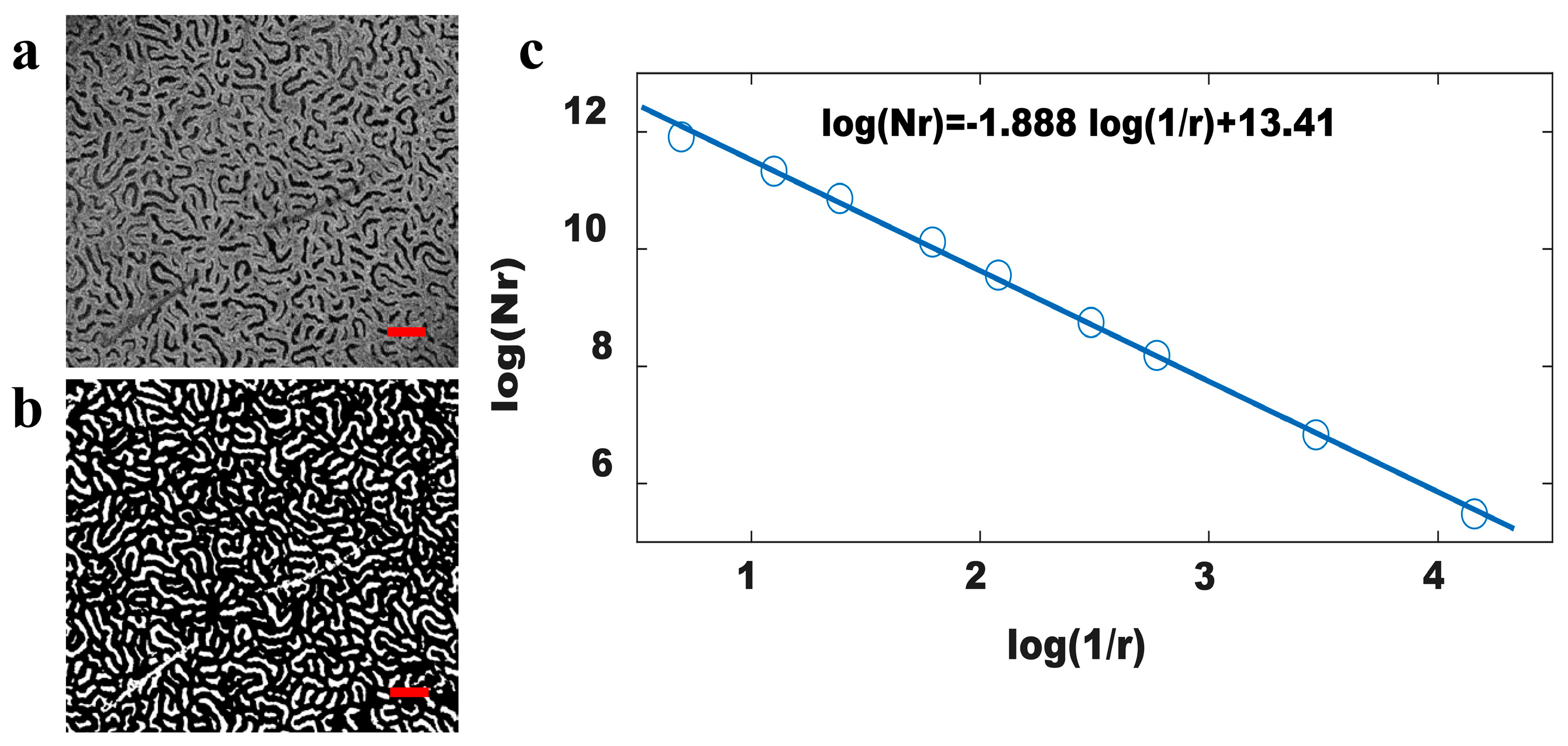 Photonics 10 00741 g005