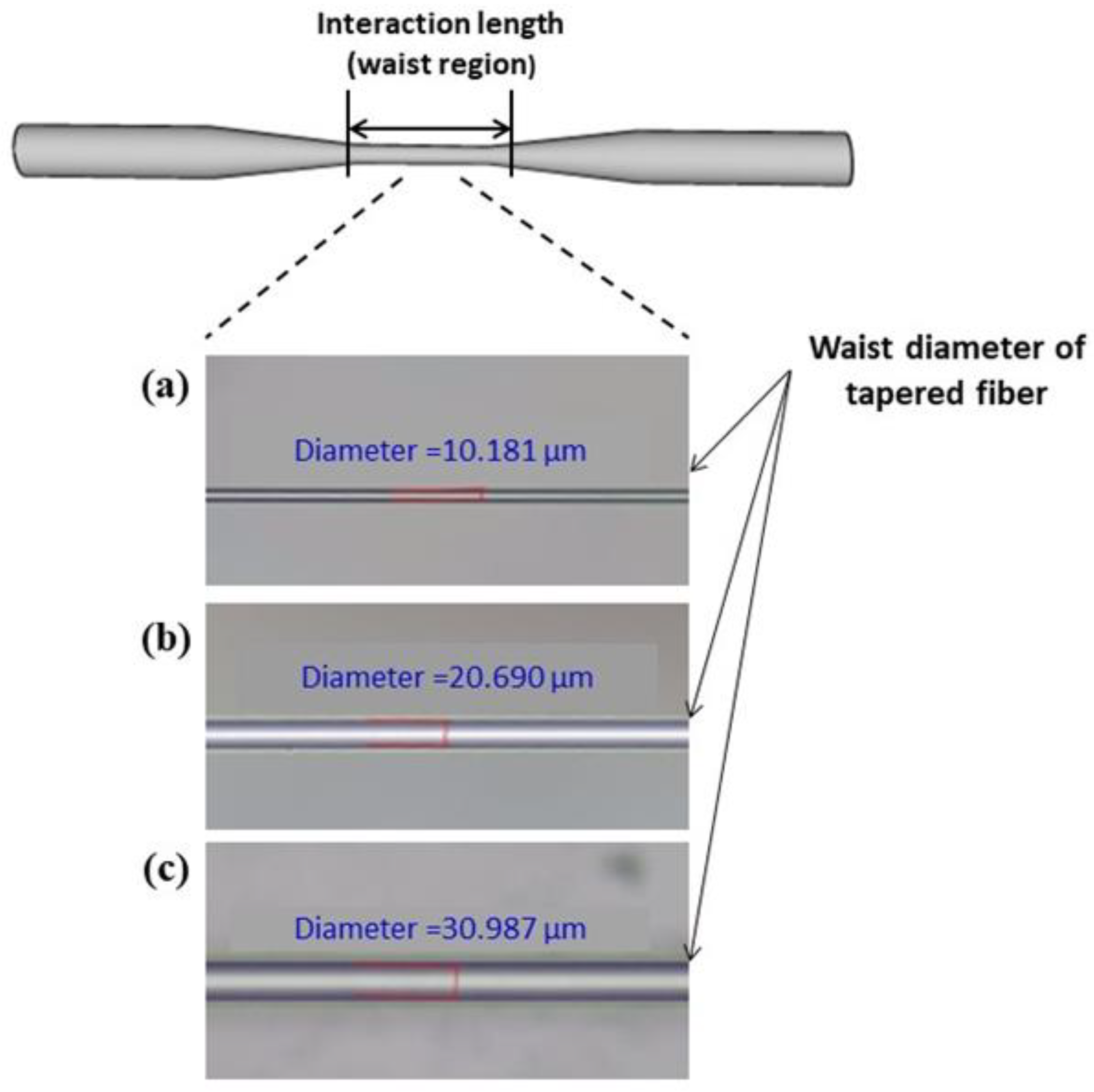Photonics 10 00745 g002 Photonics 10 00745 g002