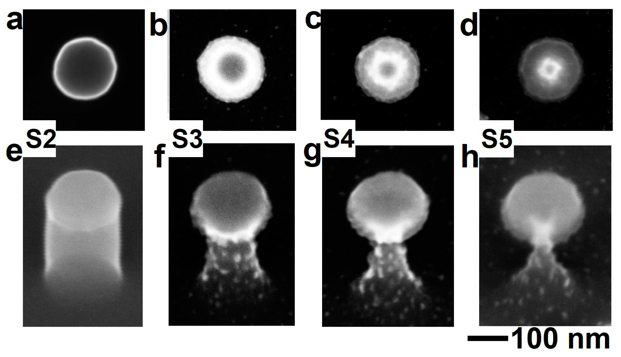 Photonics 10 00821 g002 Photonics 10 00821 g002