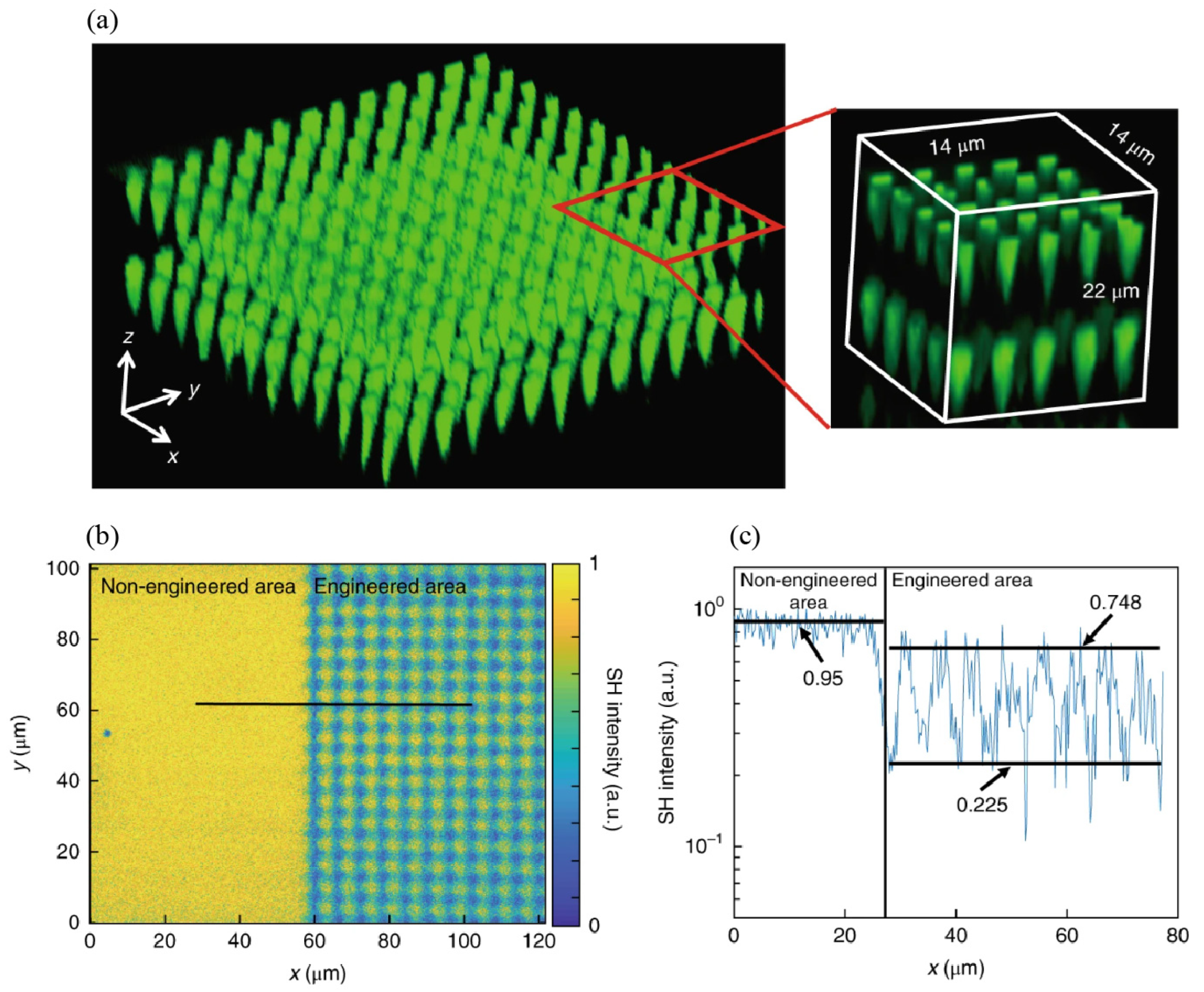 Photonics 10 00833 g004 Photonics 10 00833 g004