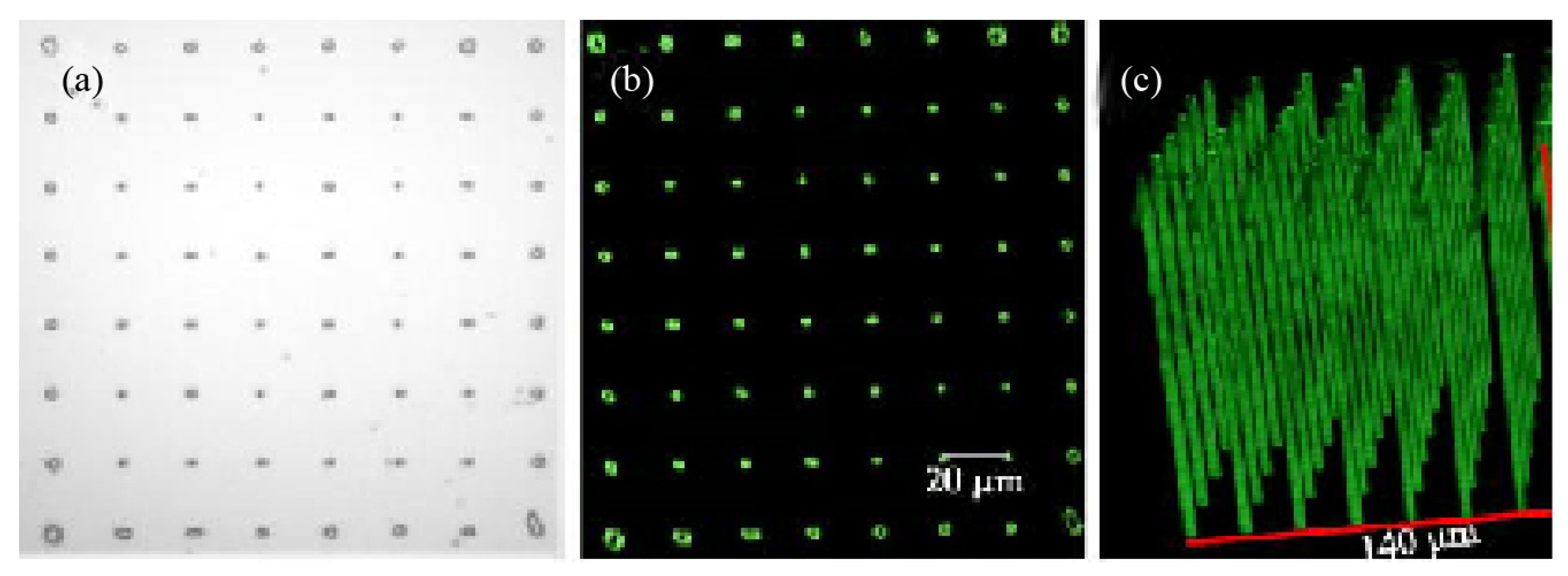 Photonics 10 00833 g011 Photonics 10 00833 g011