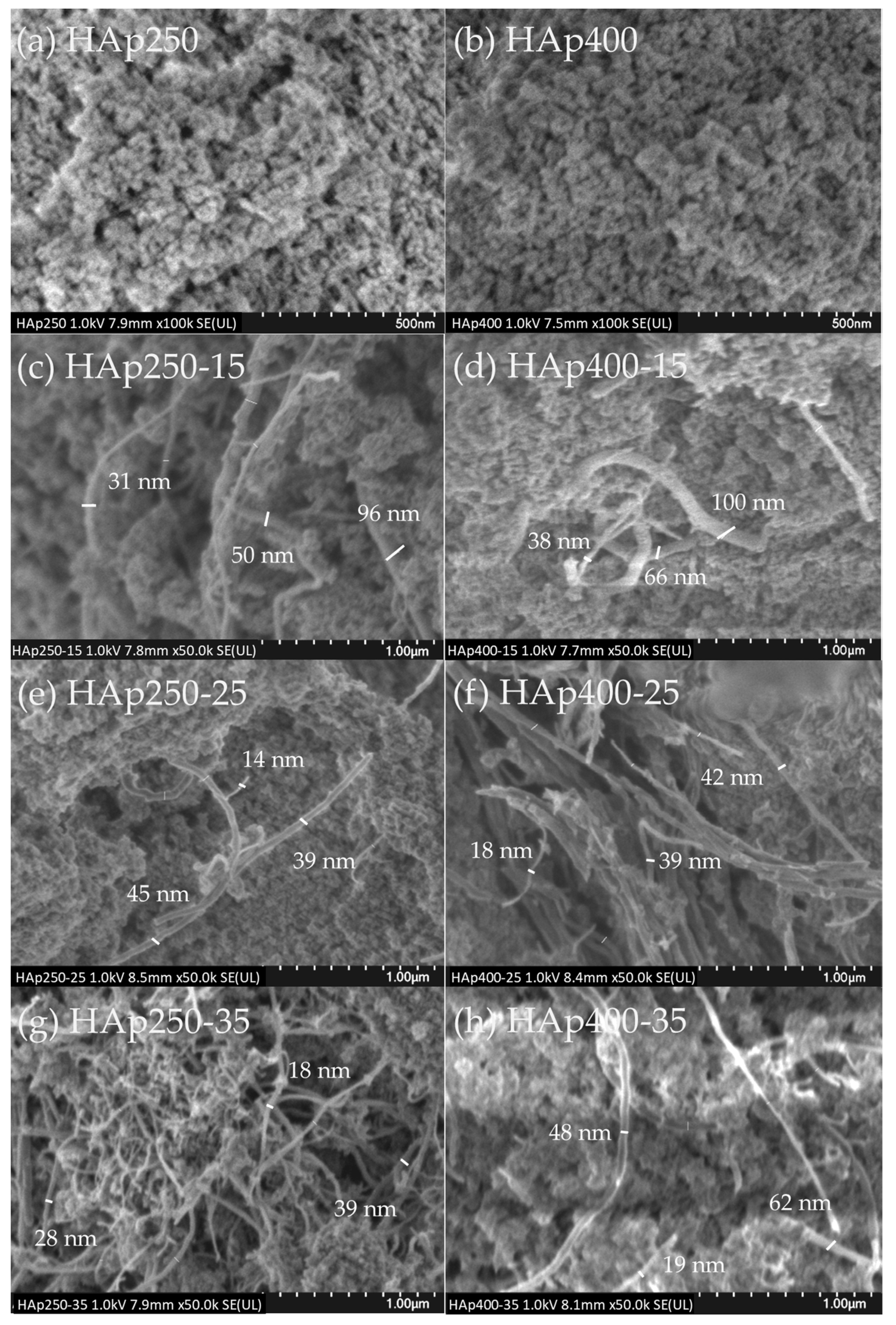 Photonics 10 00919 g004