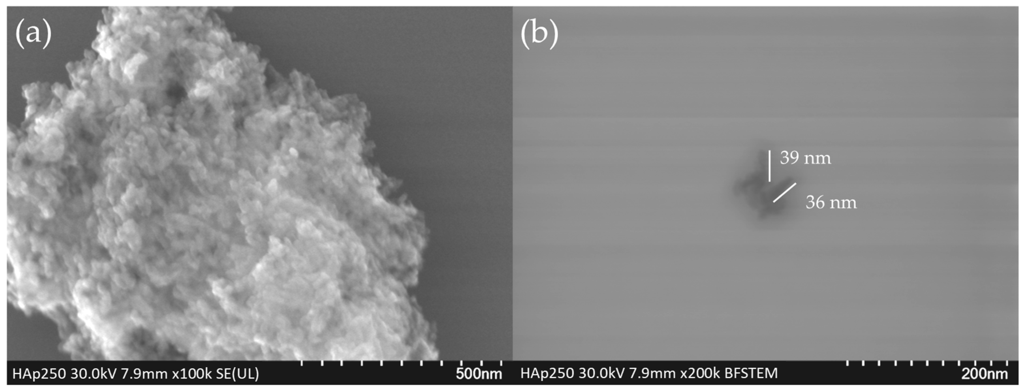 Photonics 10 00919 g005
