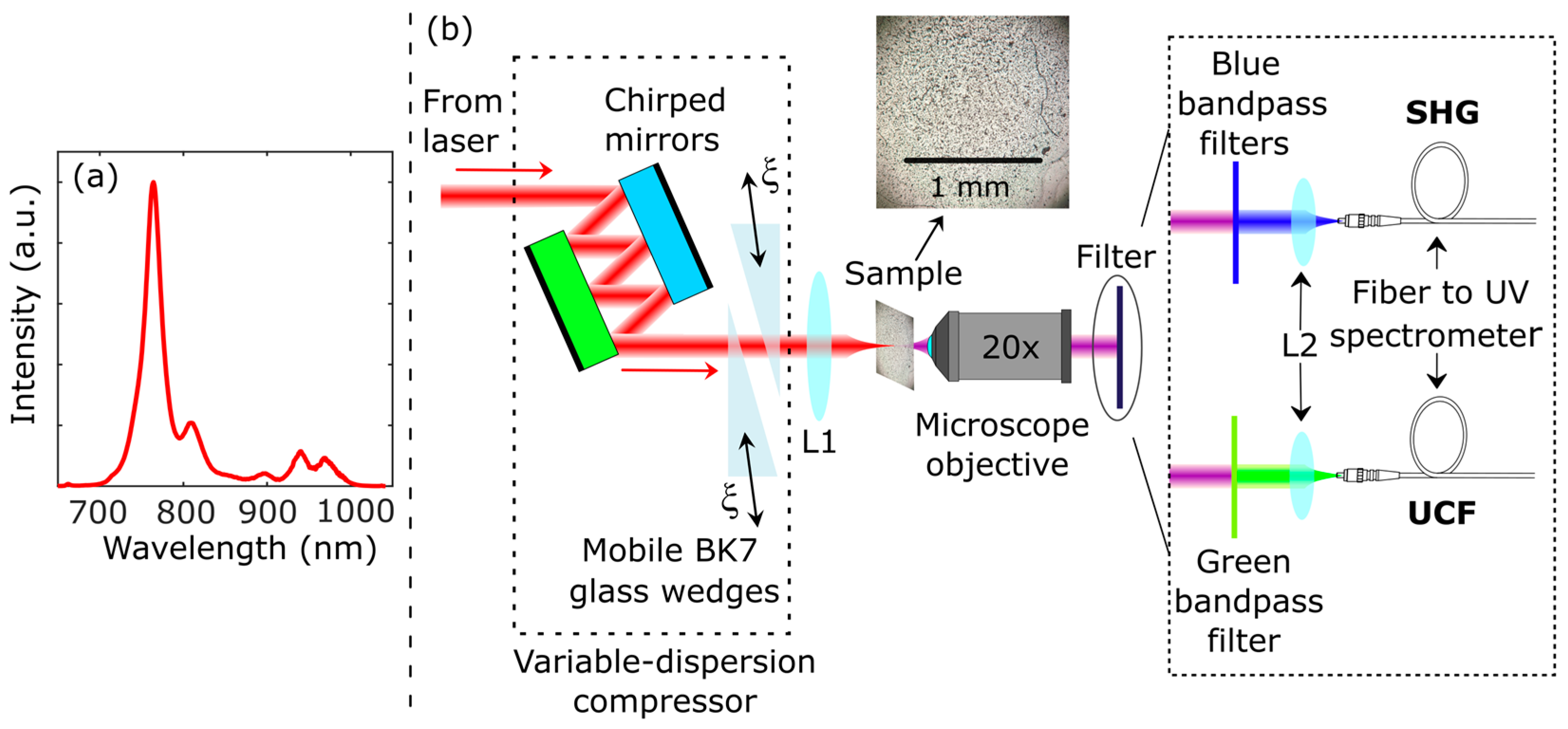 Photonics 10 00947 g003