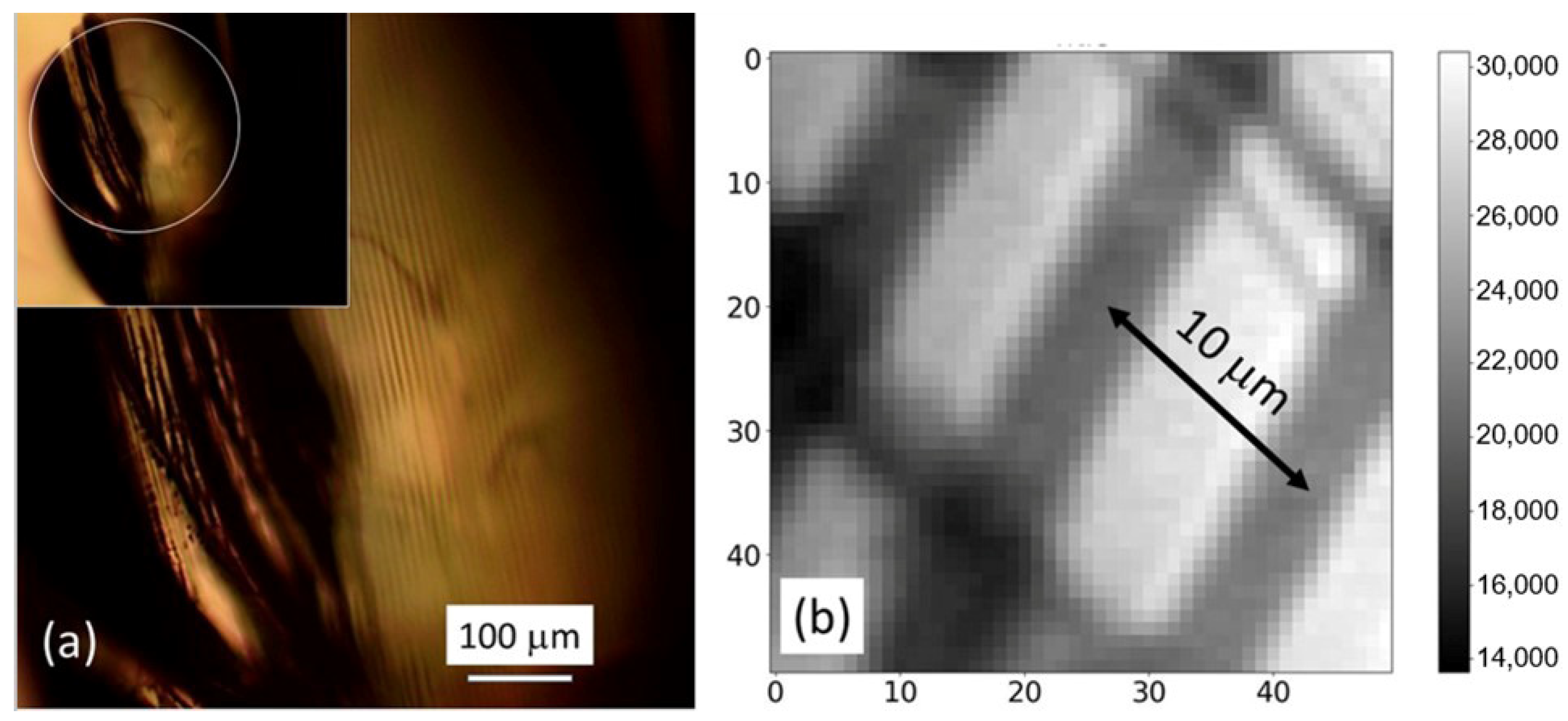 Photonics 10 00979 g005