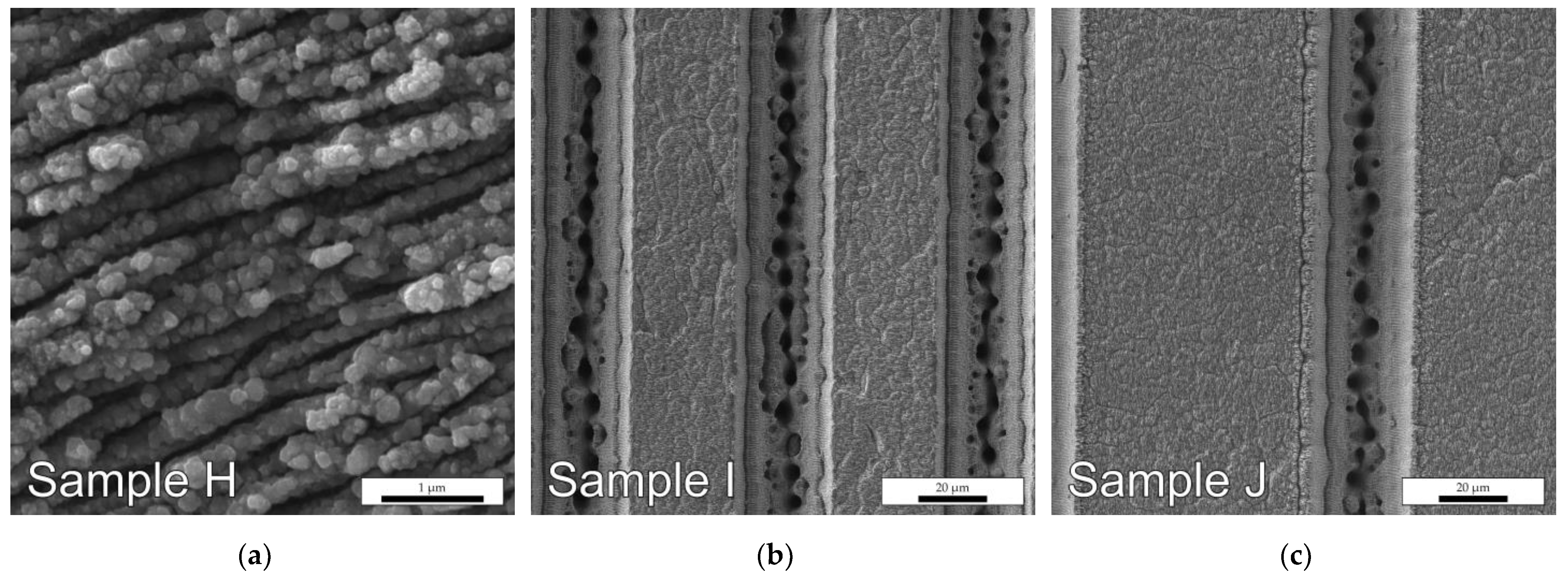 Photonics 10 01005 g001