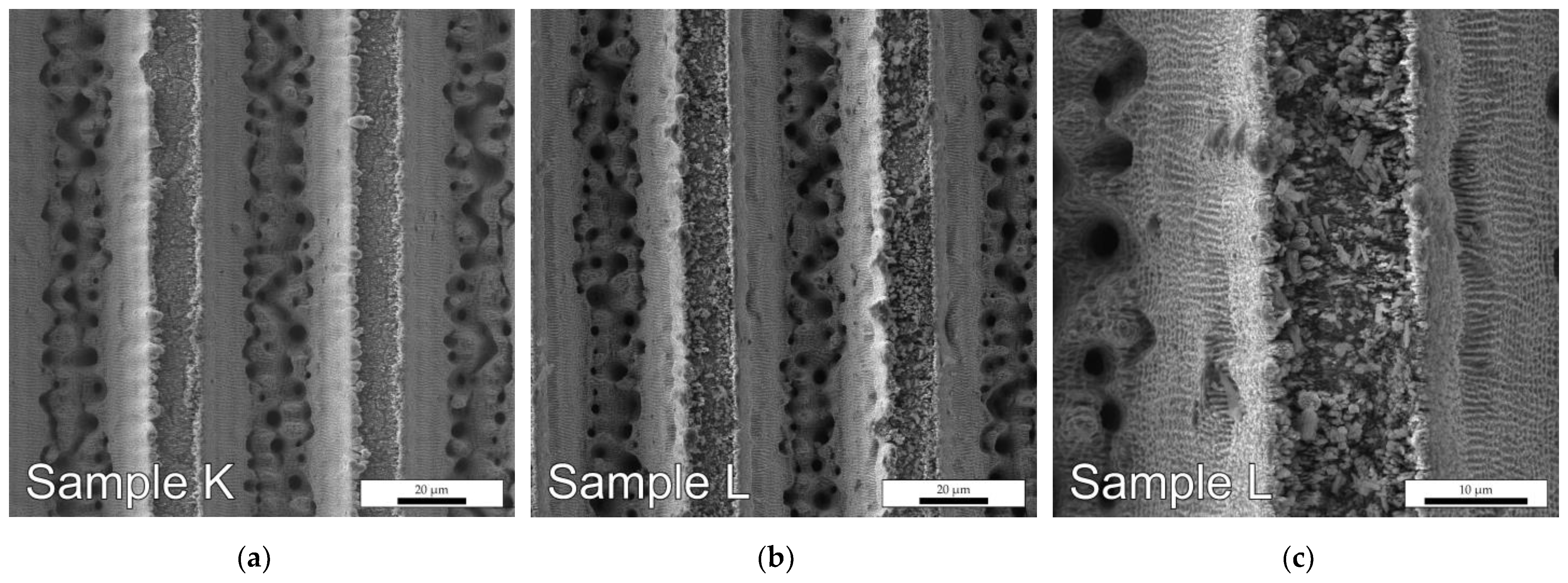Photonics 10 01005 g002