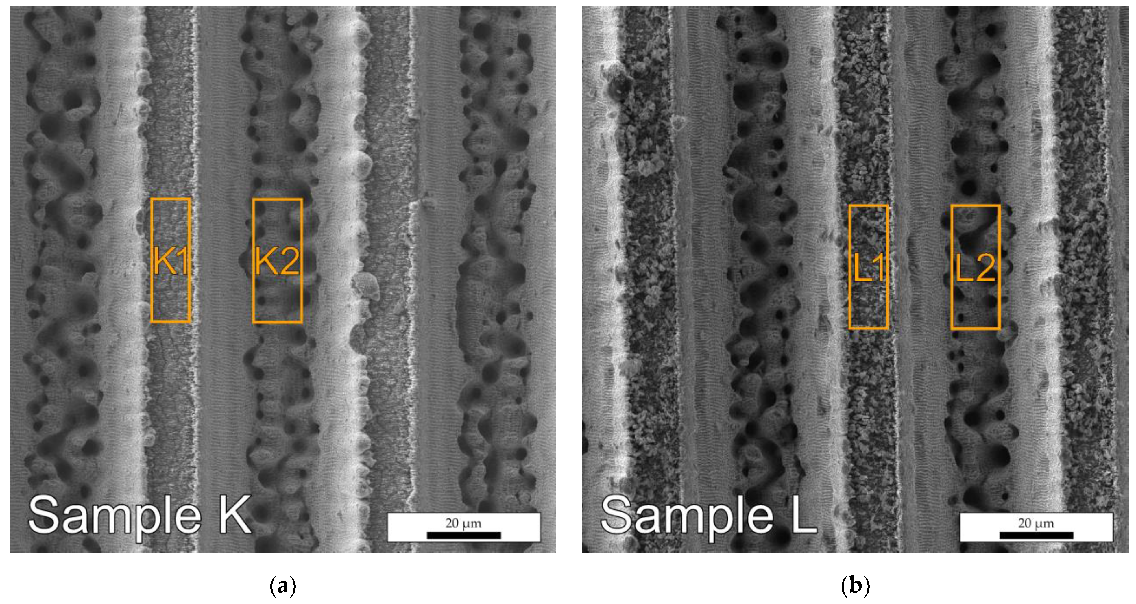 Photonics 10 01005 g003