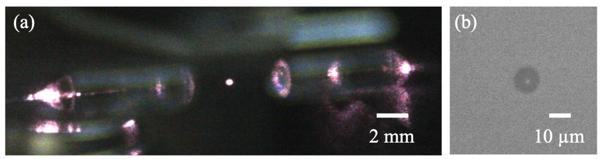 Photonics 10 01007 g008