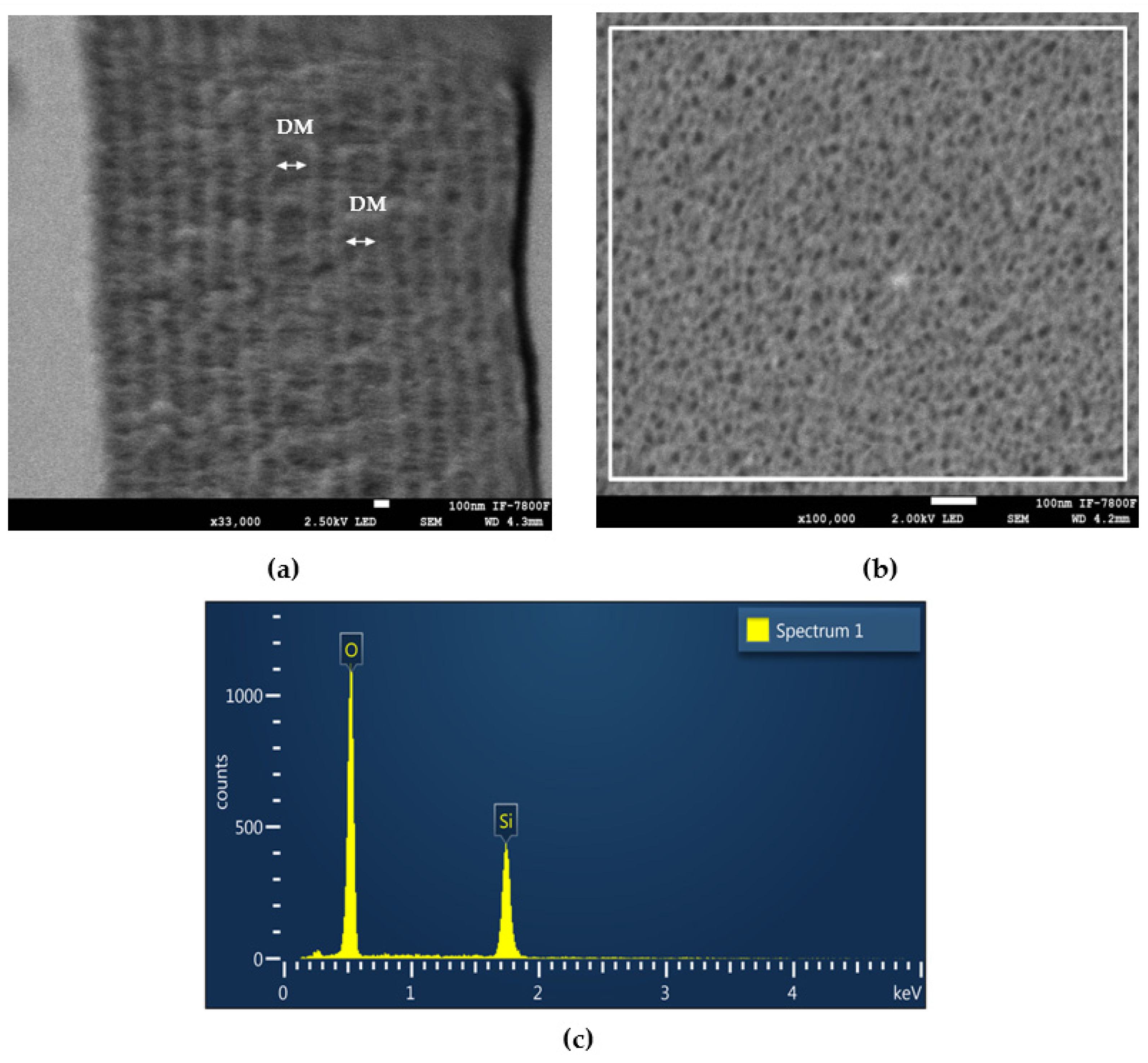 Photonics 10 01009 g005