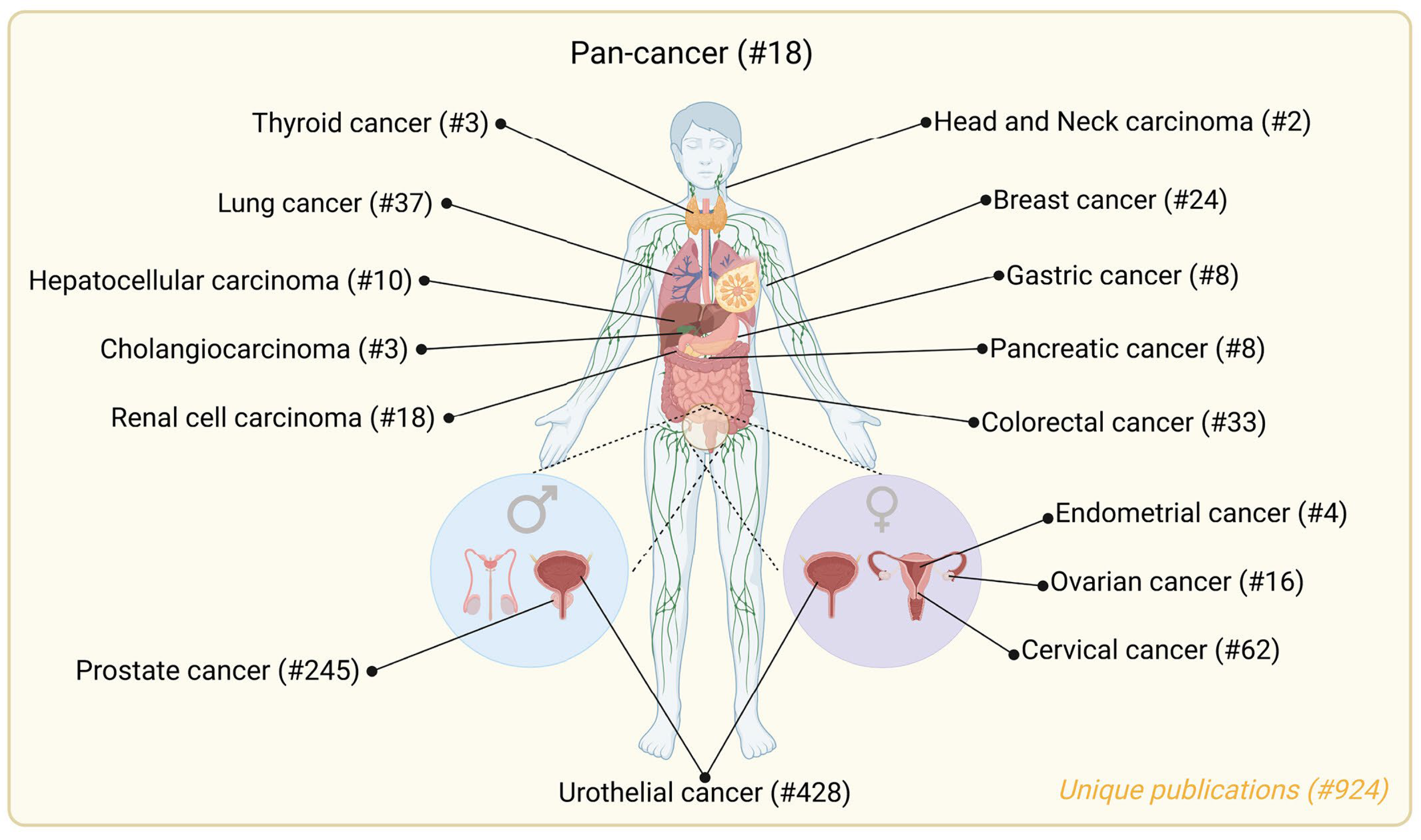 Photonics 10 01051 g003