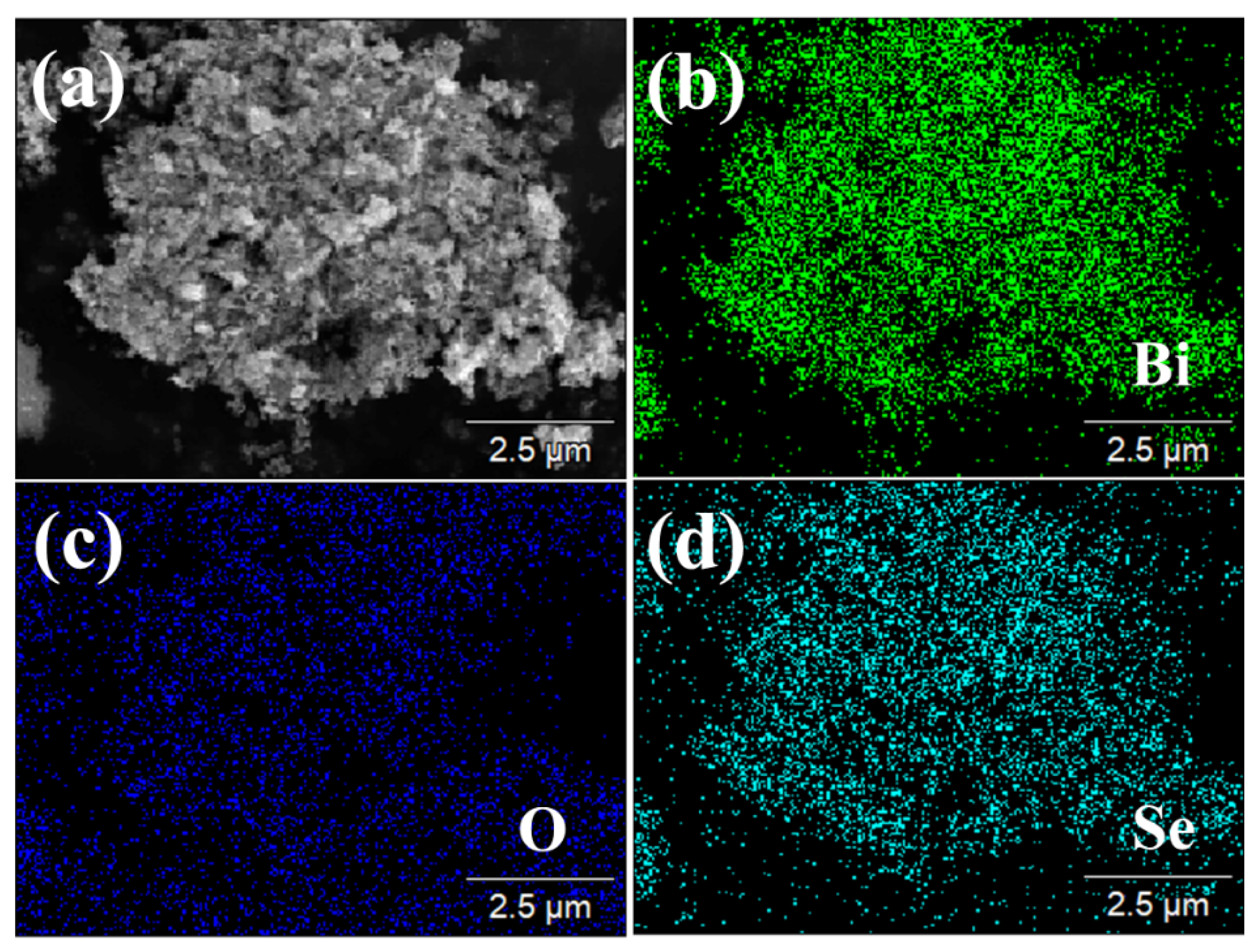Photonics 10 01187 g003