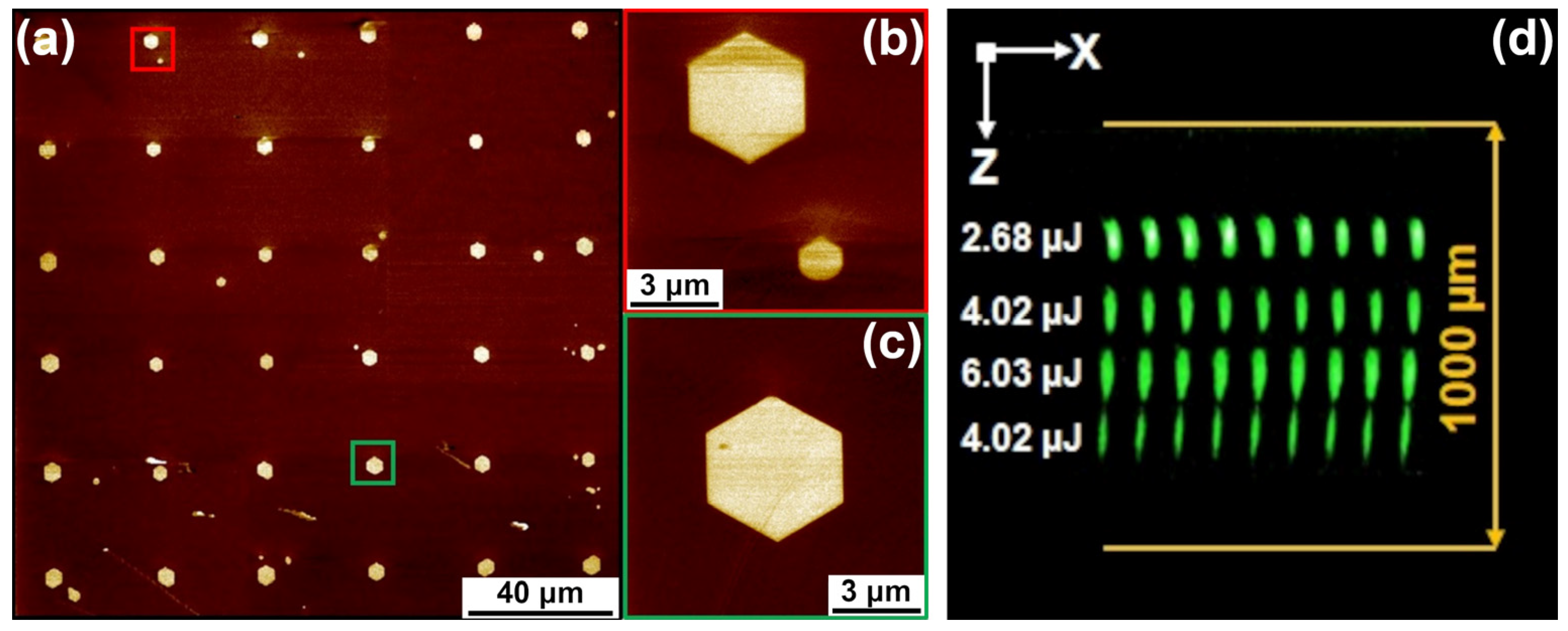 Photonics 10 01211 g006