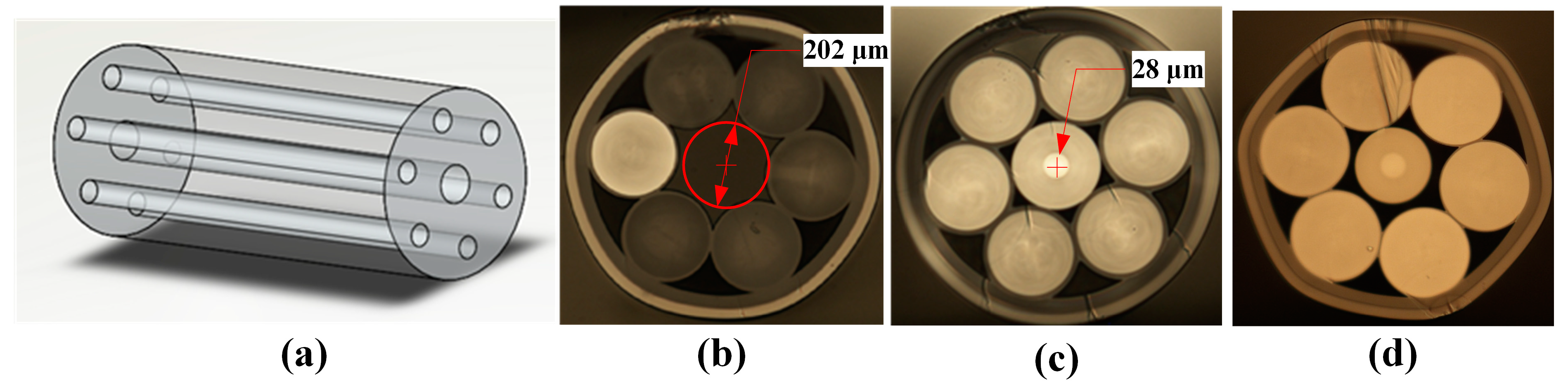 Photonics 10 01214 g004