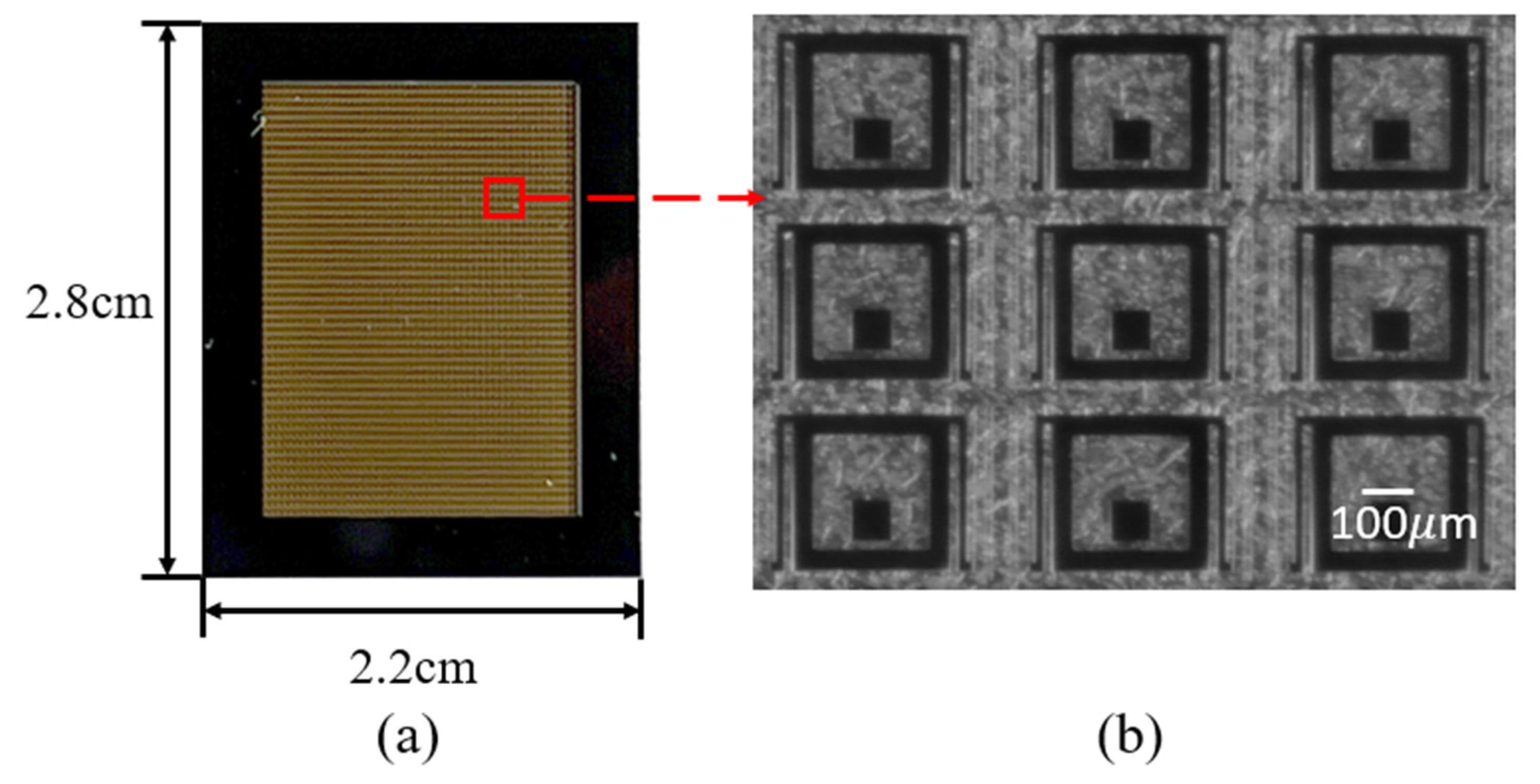 Photonics 10 01226 g009