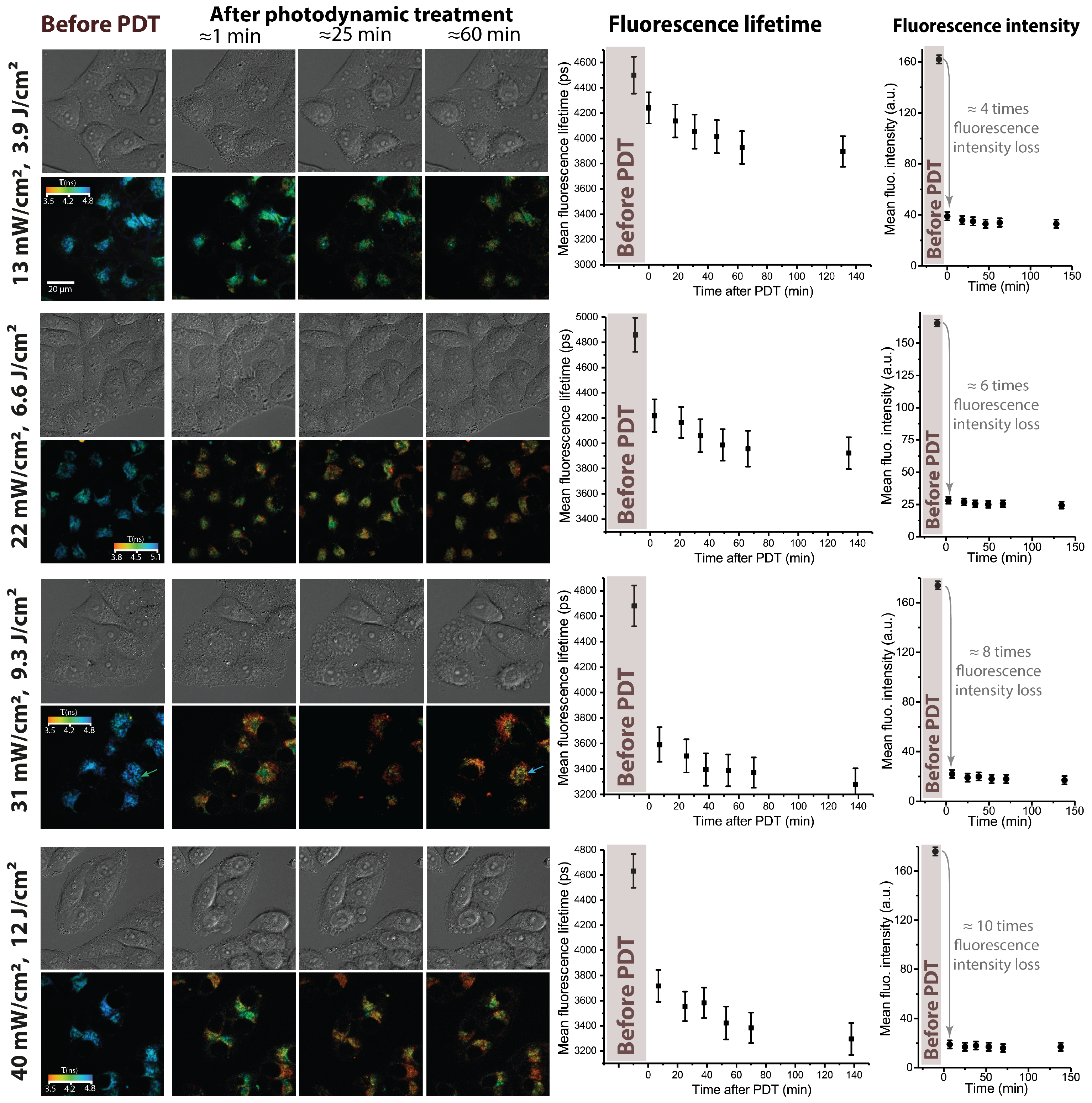 Photonics 10 01262 g002