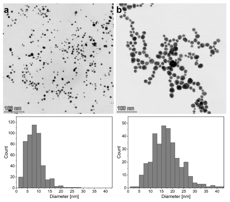 Photonics 10 01275 g003