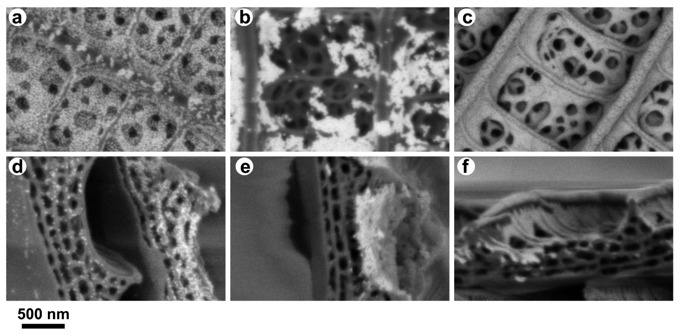 Photonics 10 01275 g004