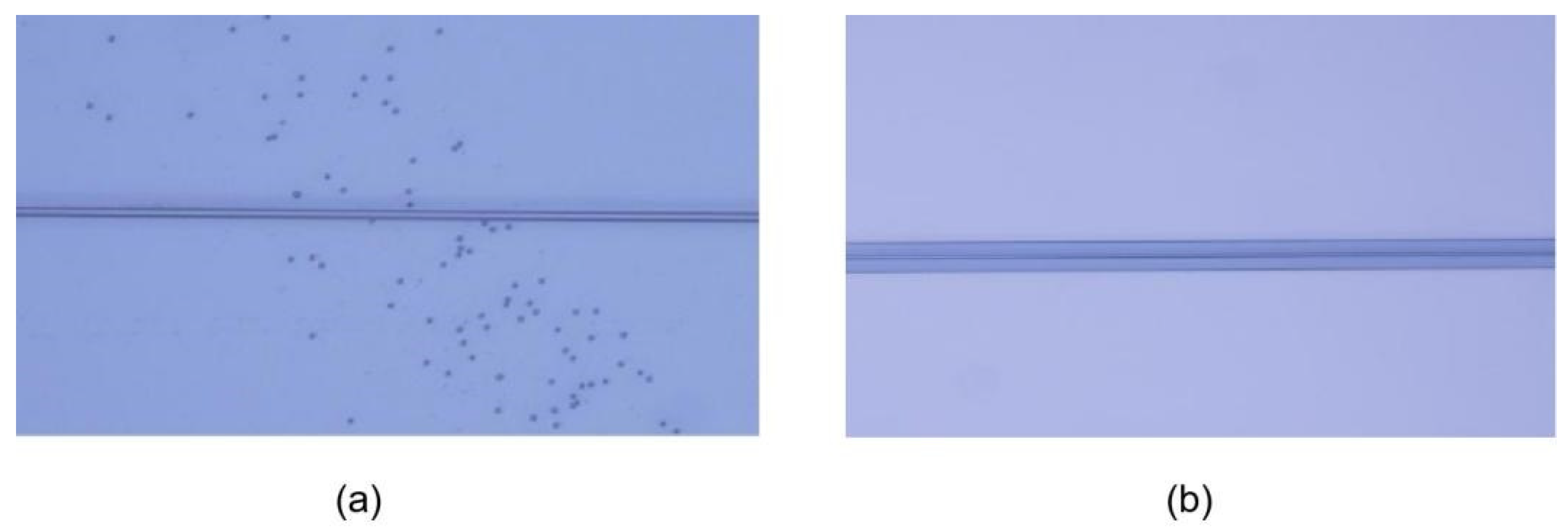 Photonics 10 01285 g013