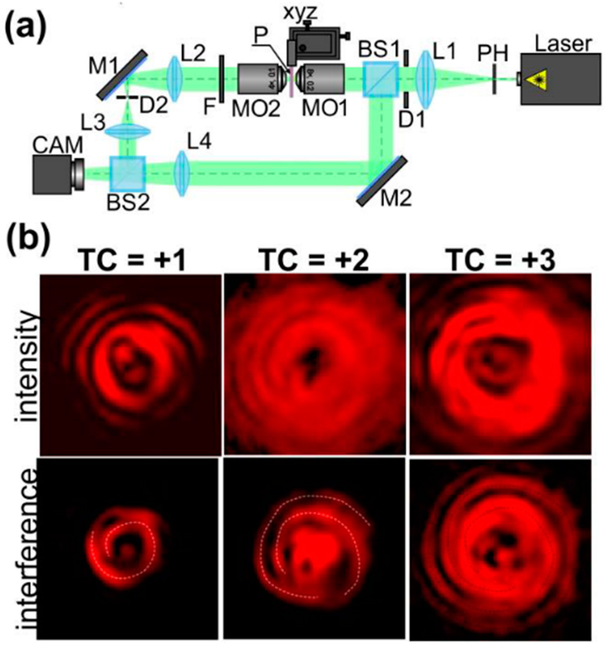 Photonics 10 01319 g011
