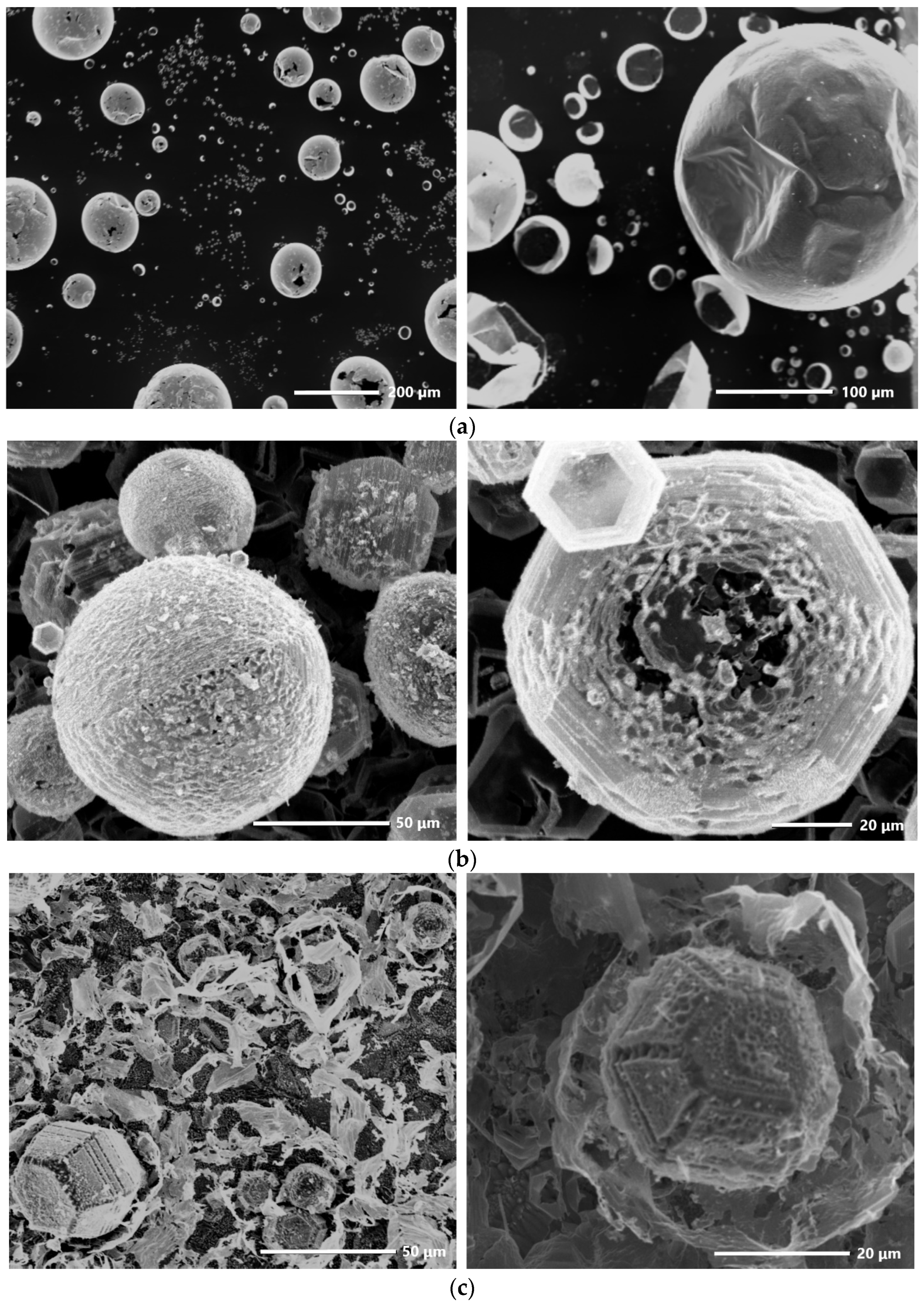 Photonics 10 01328 g001