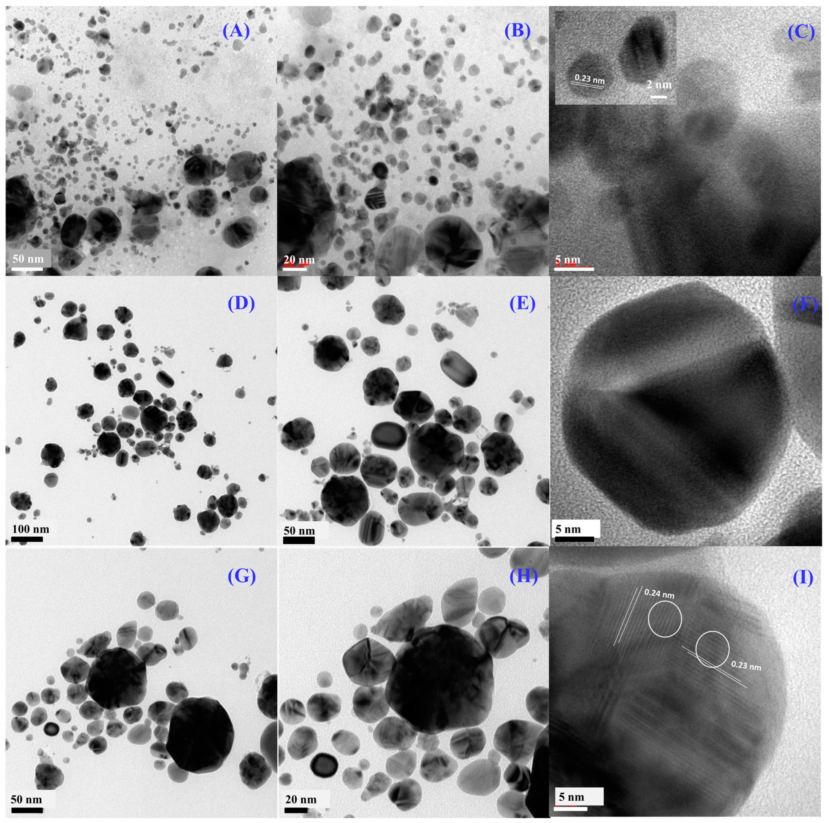 Photonics 10 01345 g005