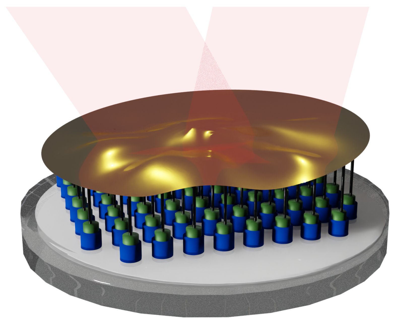 Photonics 10 01371 g003