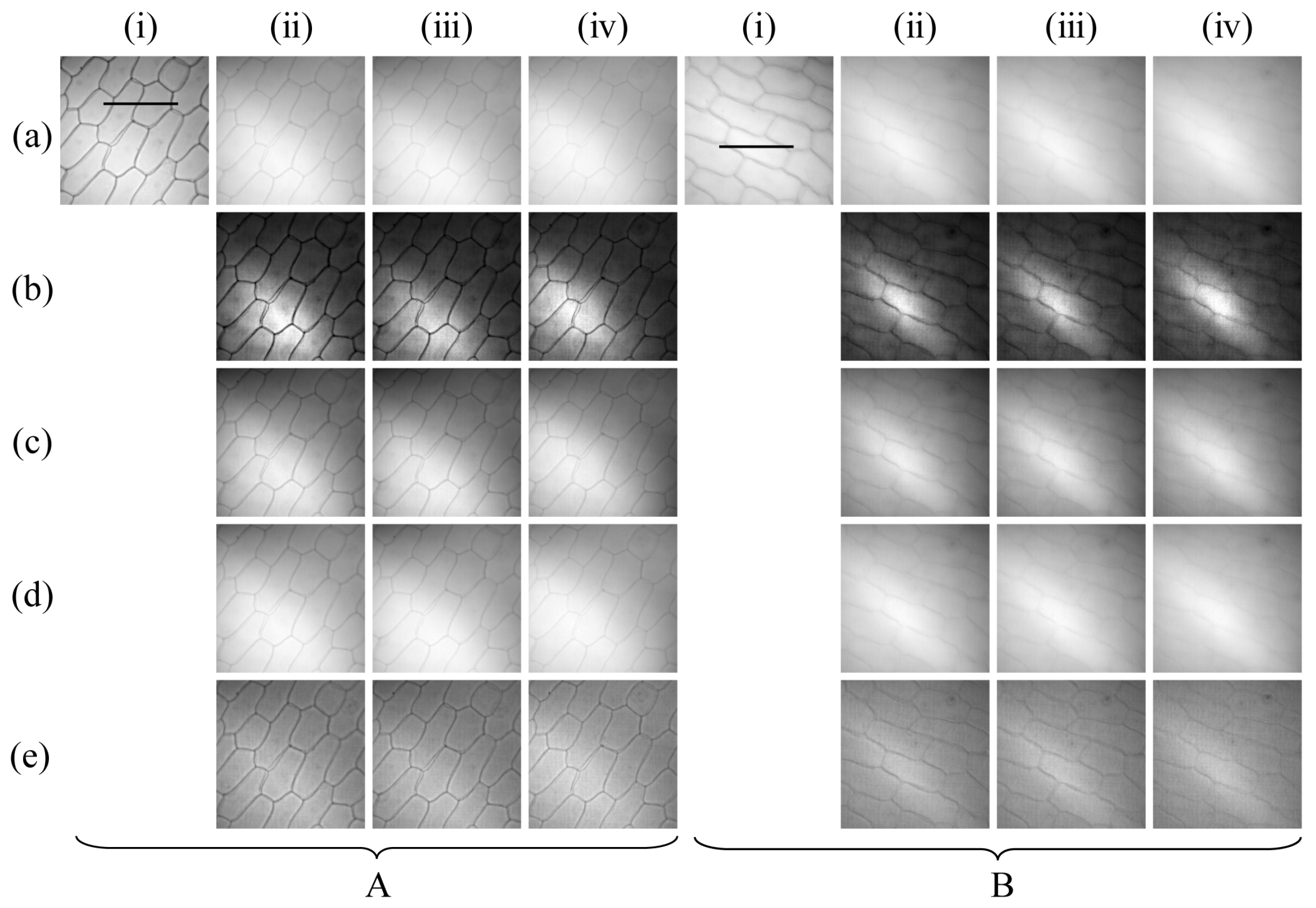 Photonics 10 01374 g002