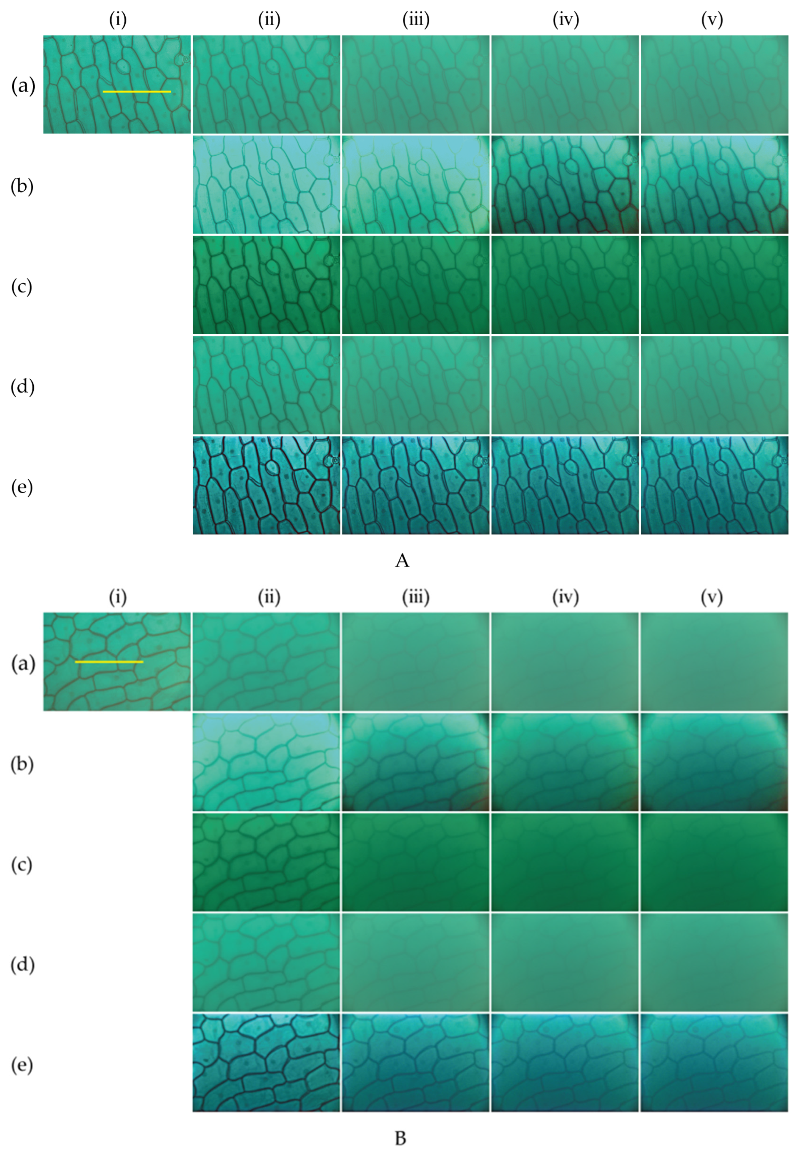 Photonics 10 01374 g005a